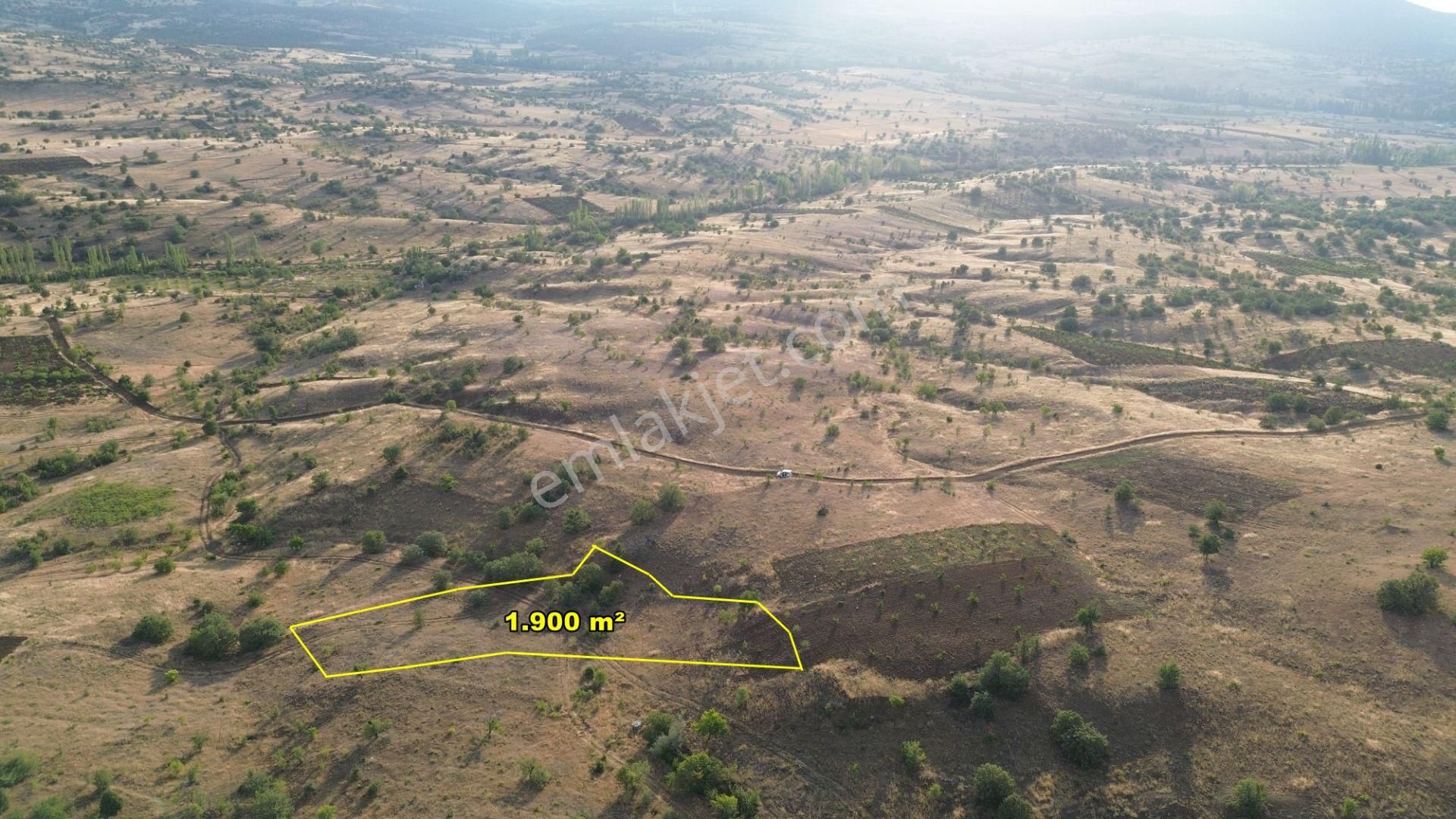 Güneysınır Gürağaç Da 1.900 M2 Müstakil Tapulu Bağ - Görsel 2