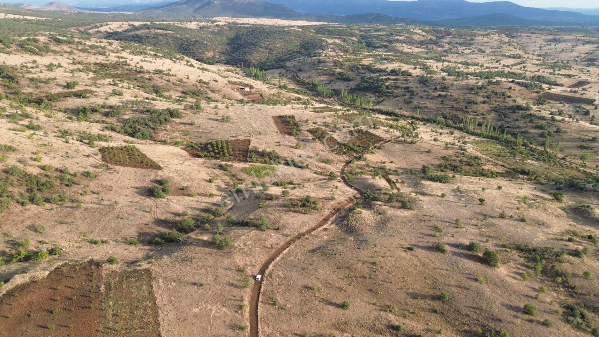 Güneysınır Gürağaç Da 1.900 M2 Müstakil Tapulu Bağ - Görsel 7