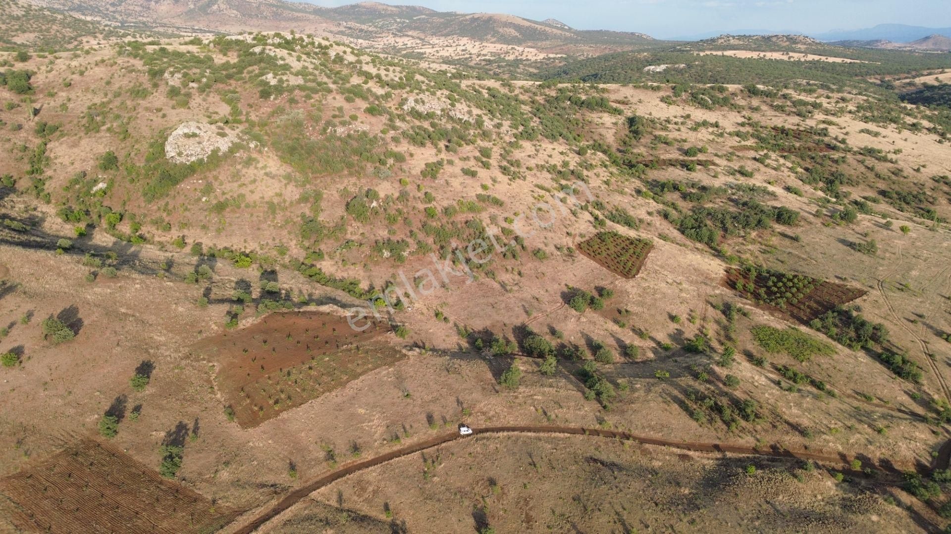 Güneysınır Gürağaç Da 1.900 M2 Müstakil Tapulu Bağ - Görsel 10