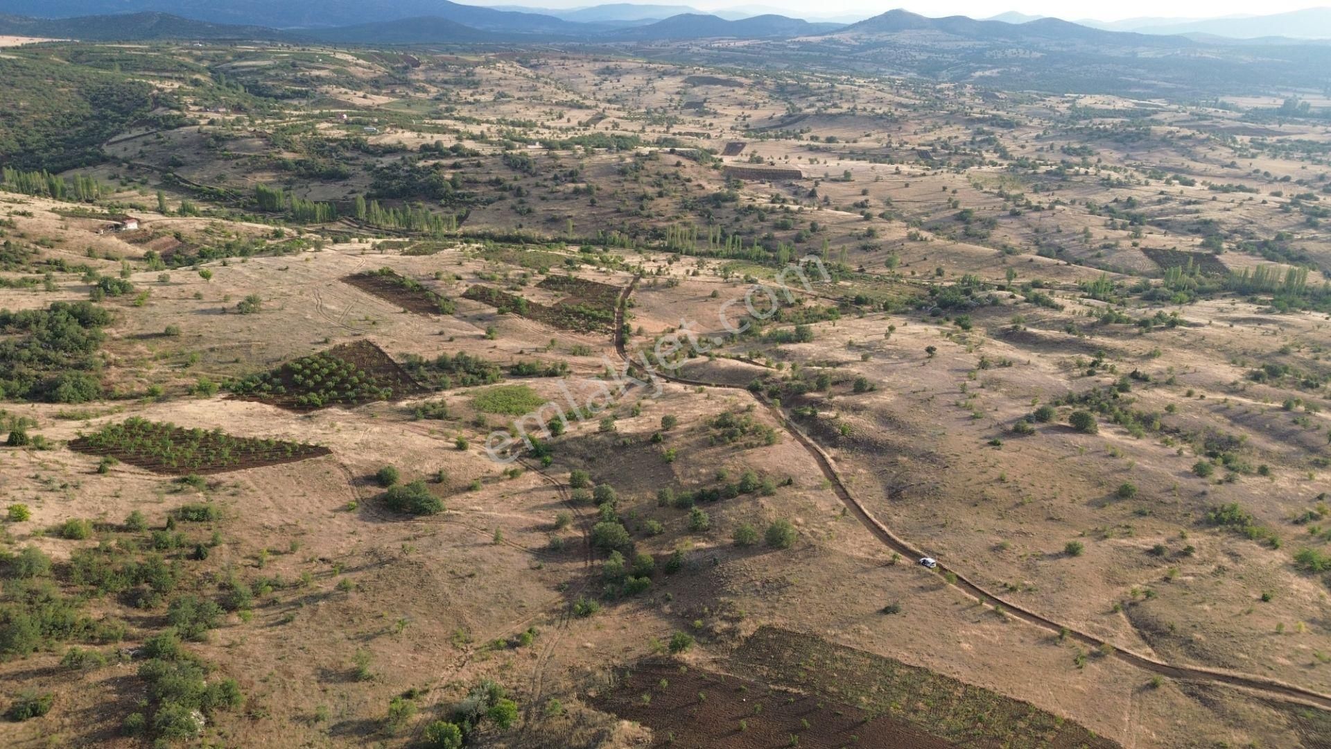 Güneysınır Gürağaç Da 1.900 M2 Müstakil Tapulu Bağ