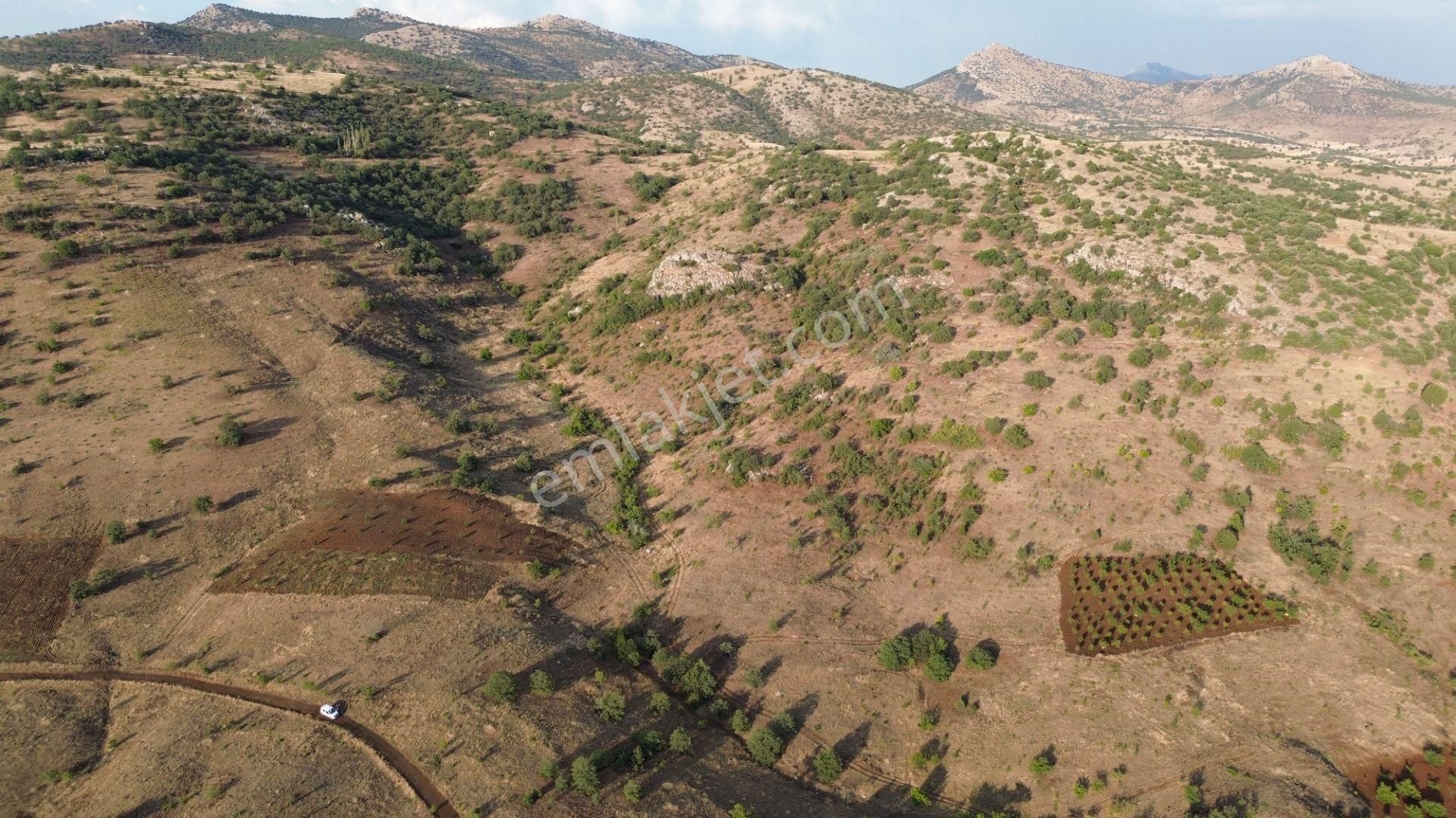 Güneysınır Gürağaç Da 1.900 M2 Müstakil Tapulu Bağ - Görsel 12