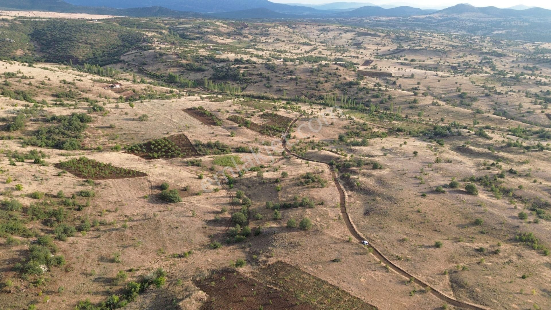 Güneysınır Gürağaç Da 1.900 M2 Müstakil Tapulu Bağ - Görsel 3
