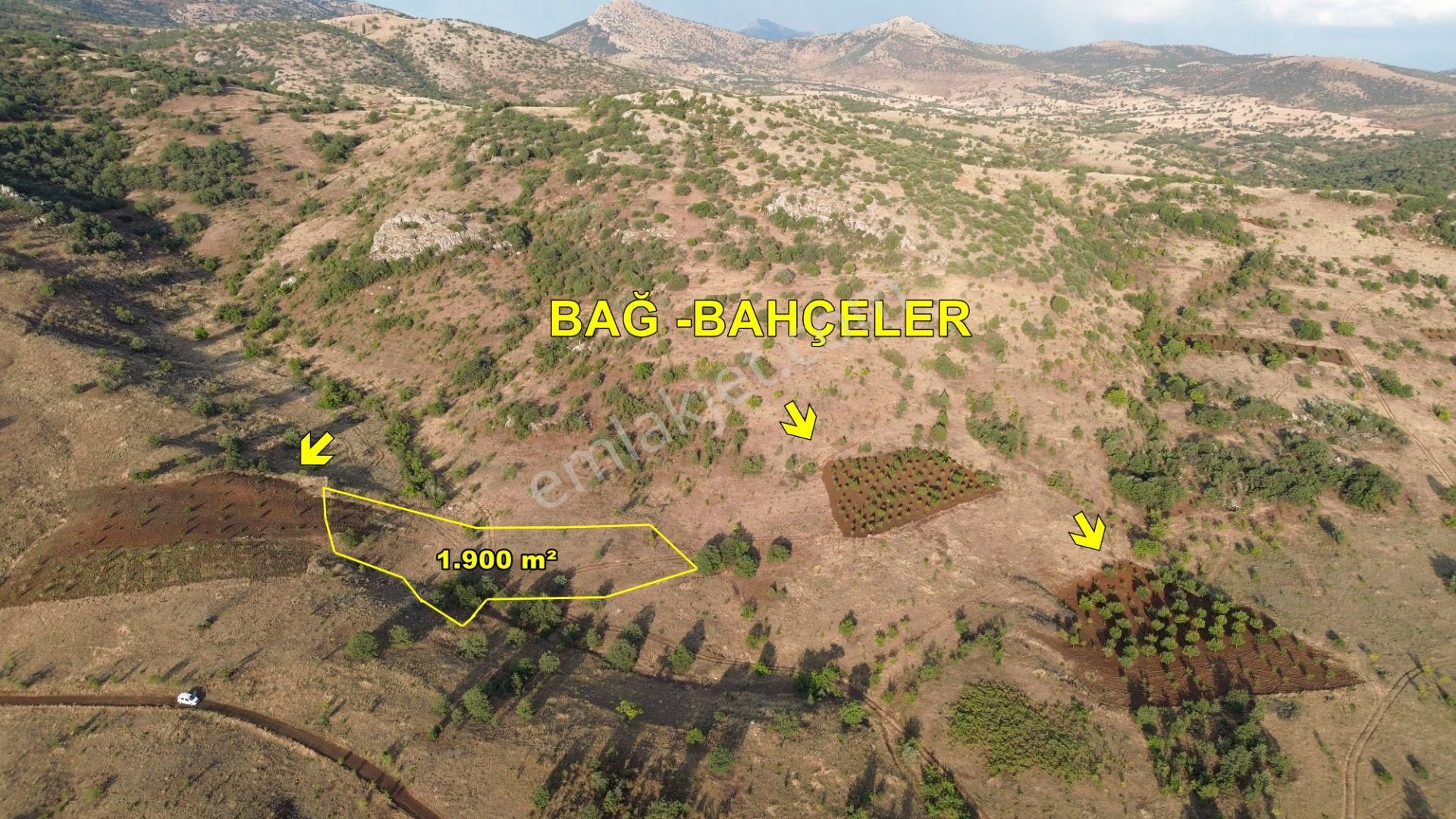 Güneysınır Gürağaç Da 1.900 M2 Müstakil Tapulu Bağ - Görsel 16