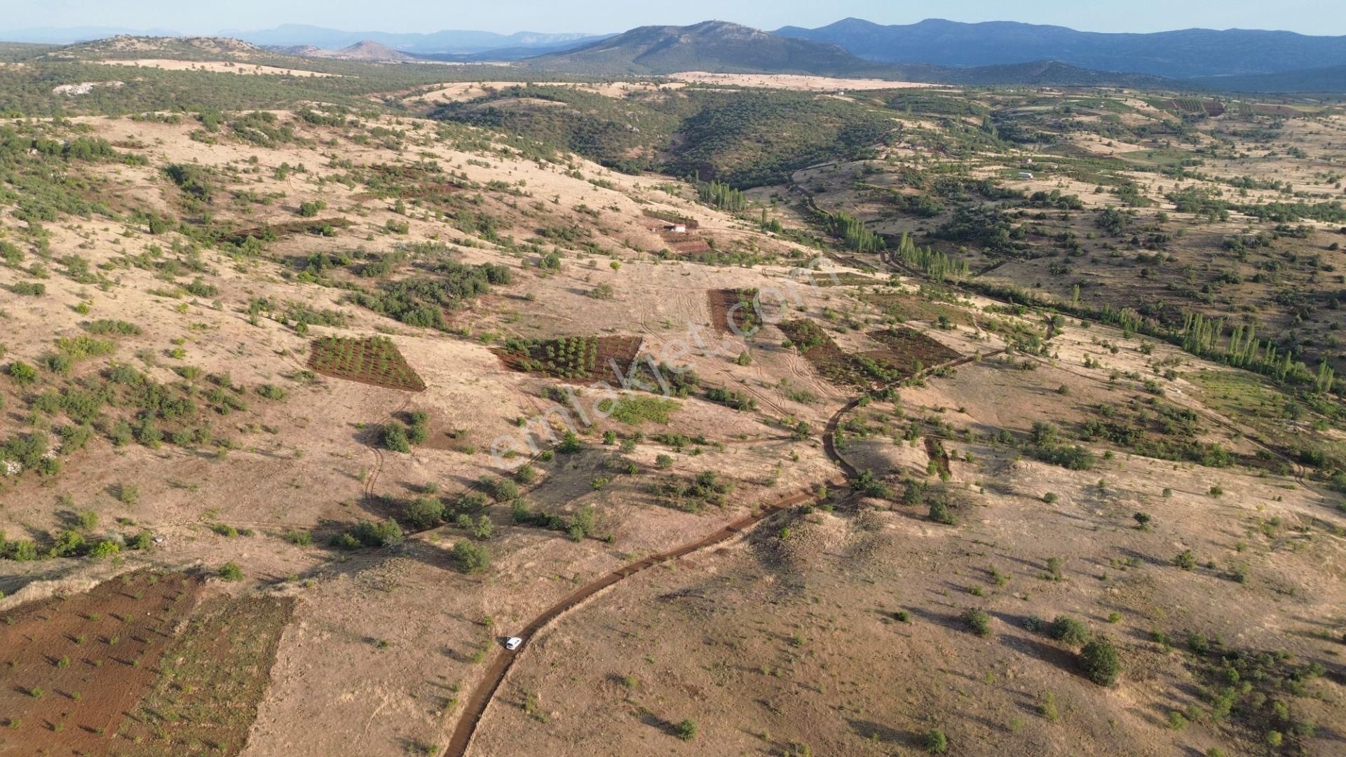 Güneysınır Gürağaç Da 1.900 M2 Müstakil Tapulu Bağ - Görsel 9