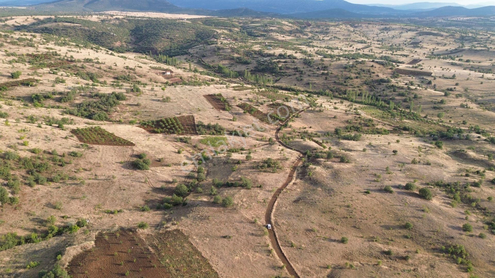 Güneysınır Gürağaç Da 1.900 M2 Müstakil Tapulu Bağ - Görsel 5