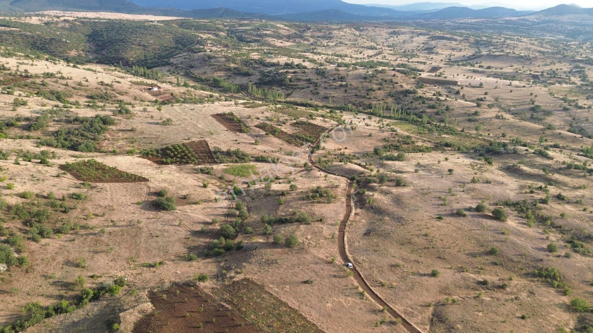 Güneysınır Gürağaç Da 1.900 M2 Müstakil Tapulu Bağ - Görsel 6