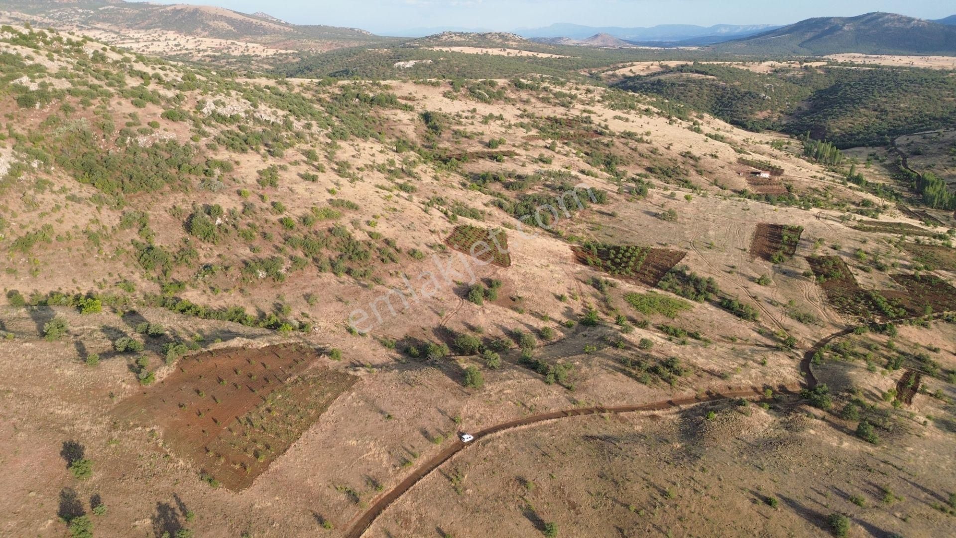 Güneysınır Gürağaç Da 1.900 M2 Müstakil Tapulu Bağ - Görsel 14