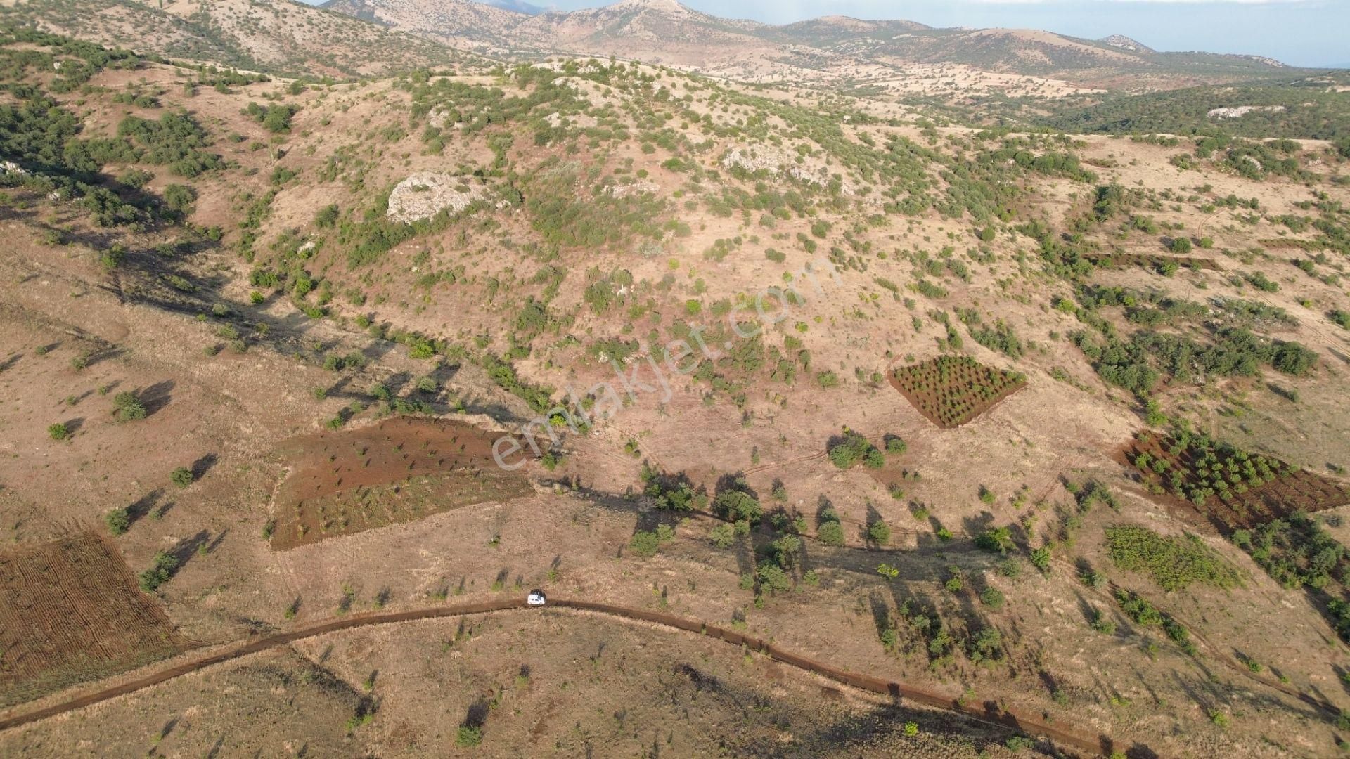 Güneysınır Gürağaç Da 1.900 M2 Müstakil Tapulu Bağ - Görsel 8