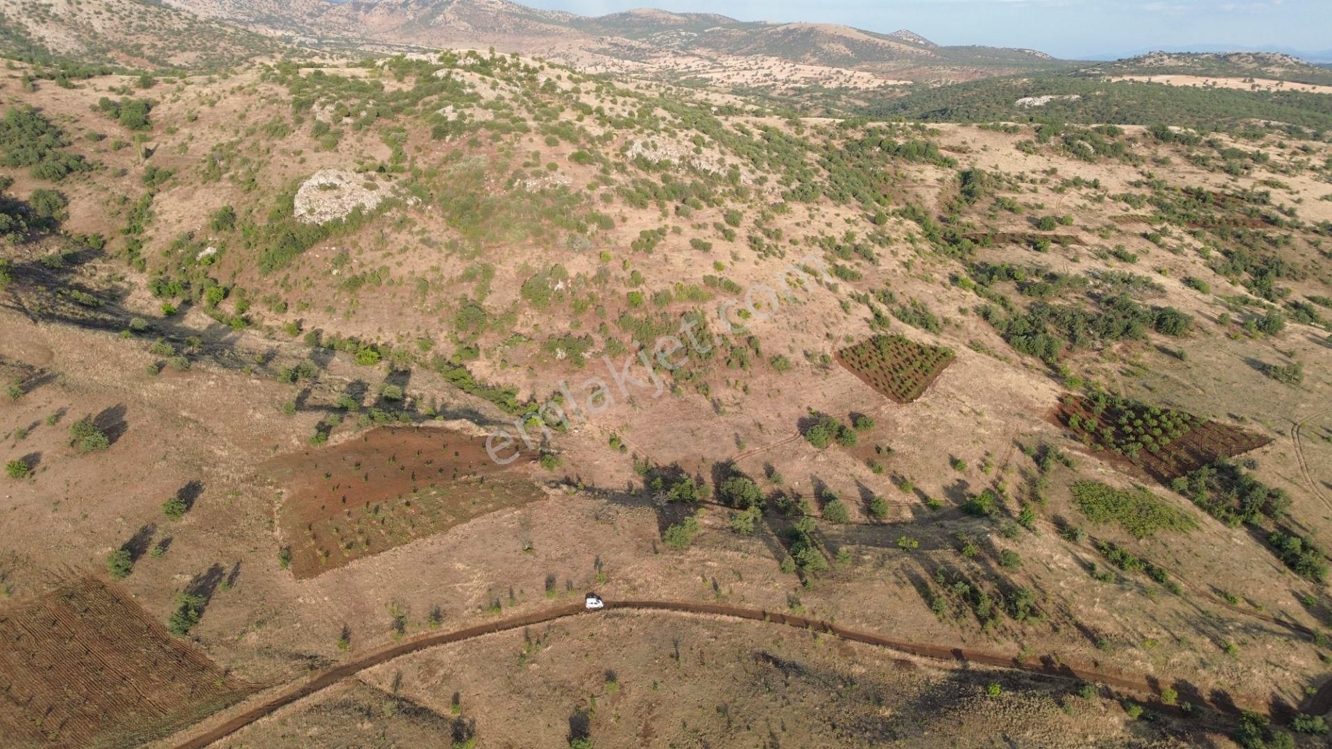 Güneysınır Gürağaç Da 1.900 M2 Müstakil Tapulu Bağ - Görsel 4