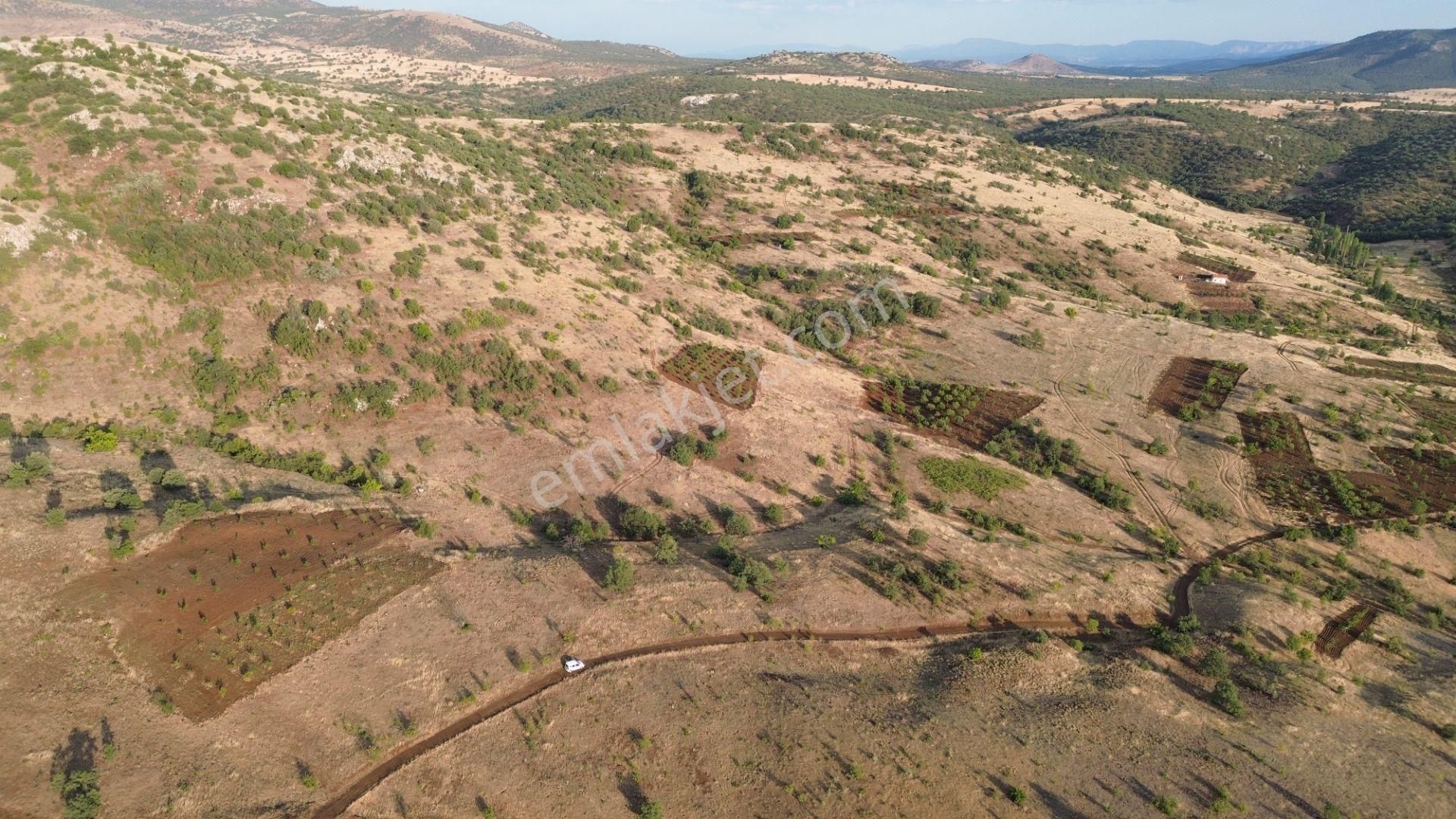 Güneysınır Gürağaç Da 1.900 M2 Müstakil Tapulu Bağ - Görsel 11