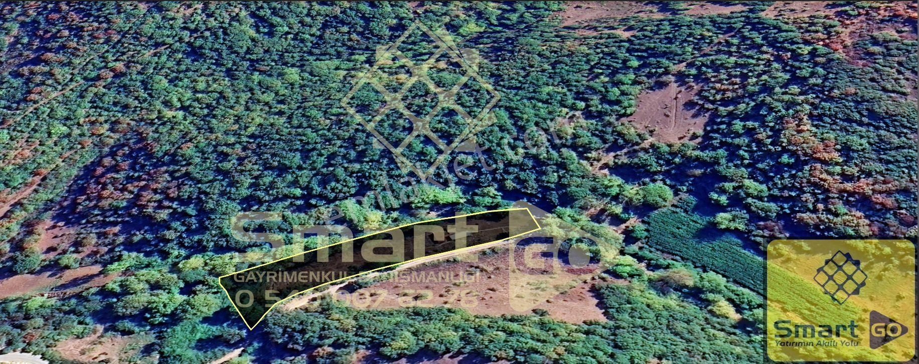 Gönen Ekşidere'de Doğa İle İçiçe Satılık Bağ Evi - Görsel 30