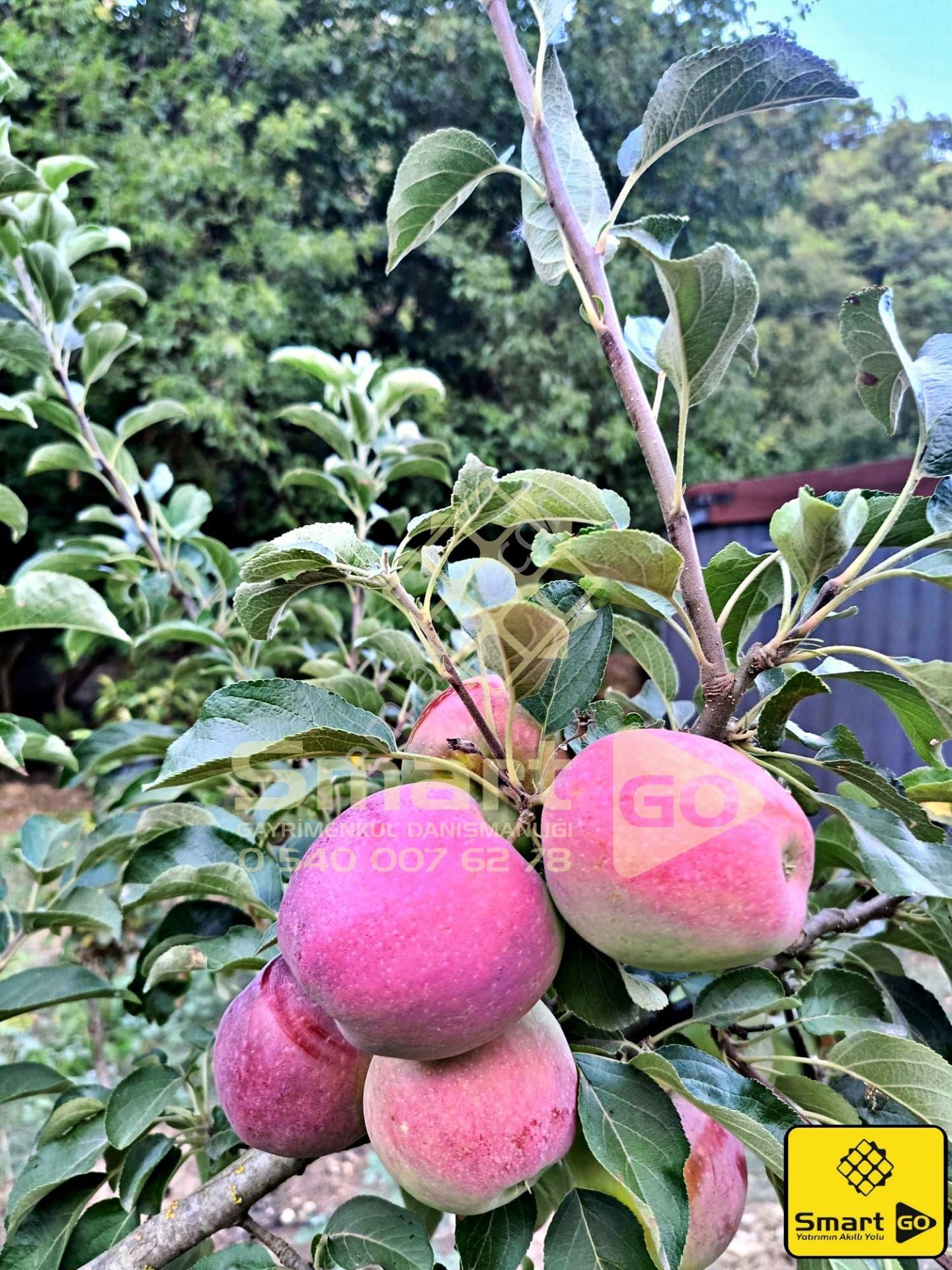 Gönen Ekşidere'de Doğa İle İçiçe Satılık Bağ Evi - Görsel 18