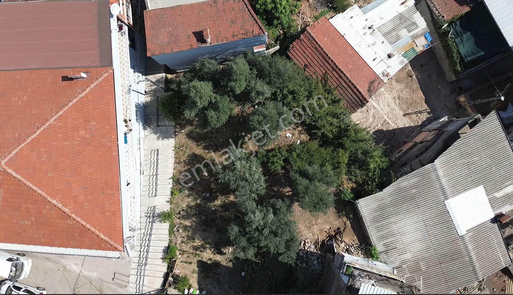 Bursa Çekirge'de Satılık 305 Metrekare Bağ - Görsel 3