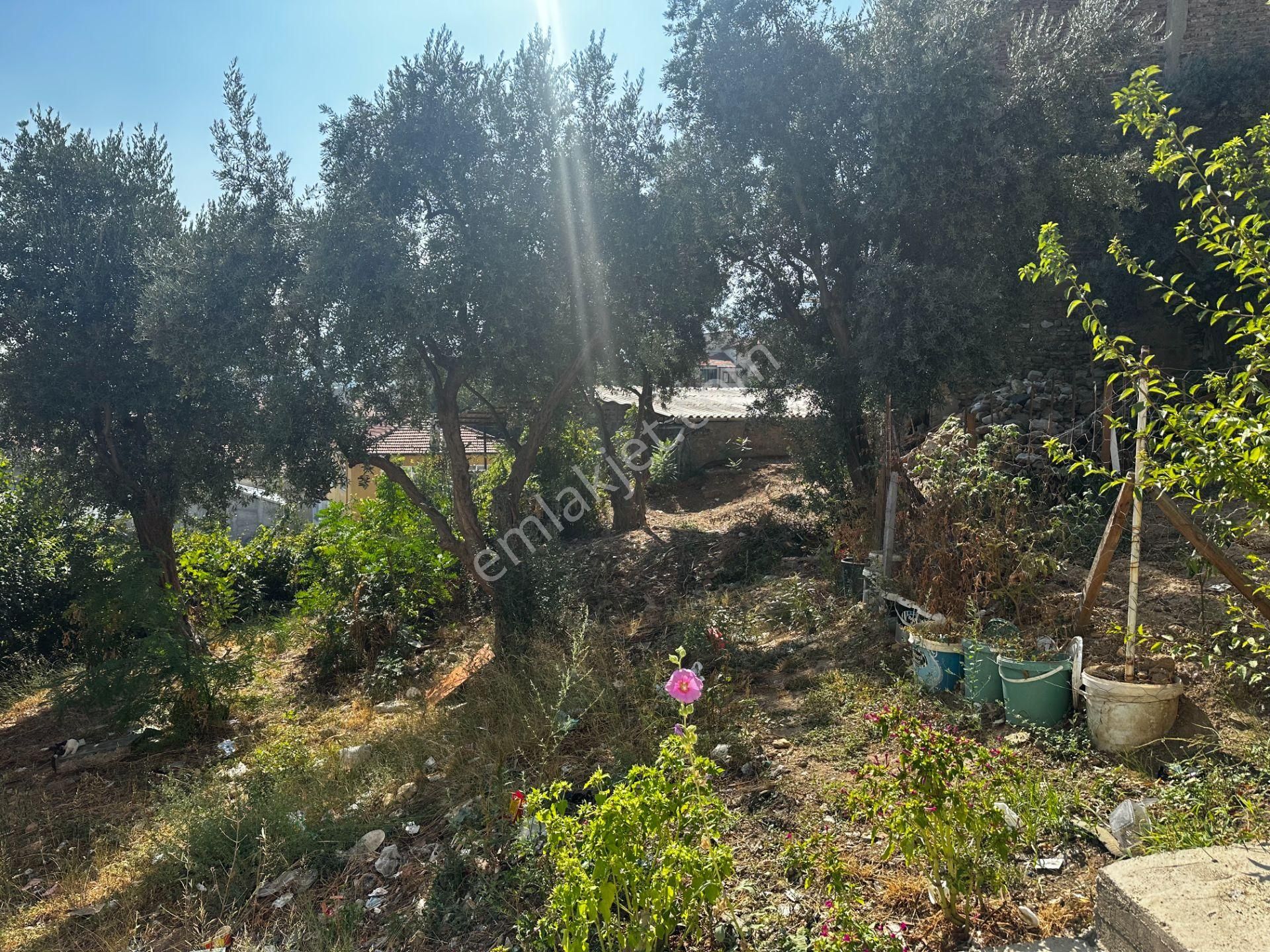 Bursa Çekirge'de Satılık 305 Metrekare Bağ - Görsel 6