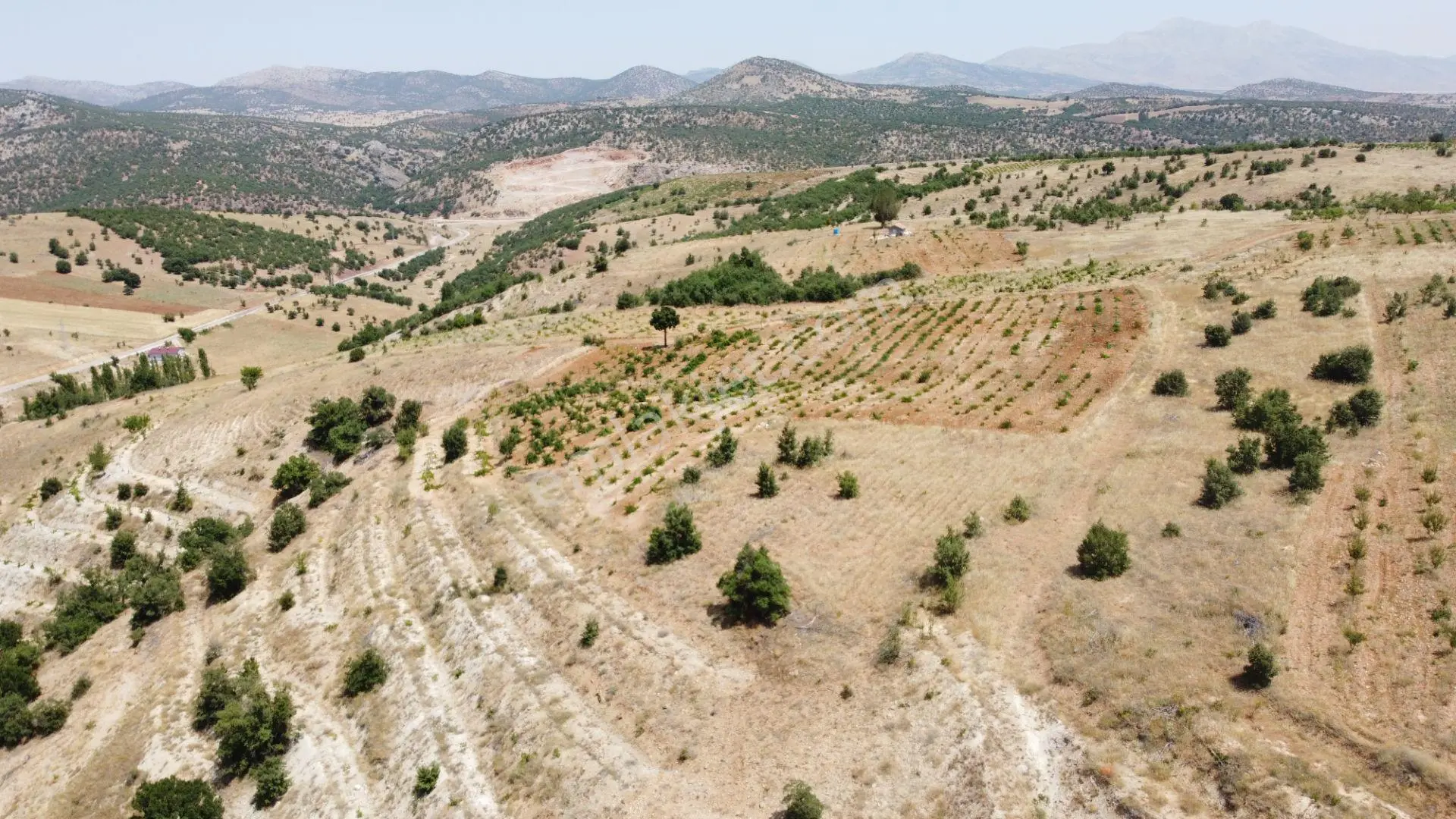 Güneysınır Ömeroğlunda 2.090 M2 Müstakil Tapulu Arazi - Görsel 5