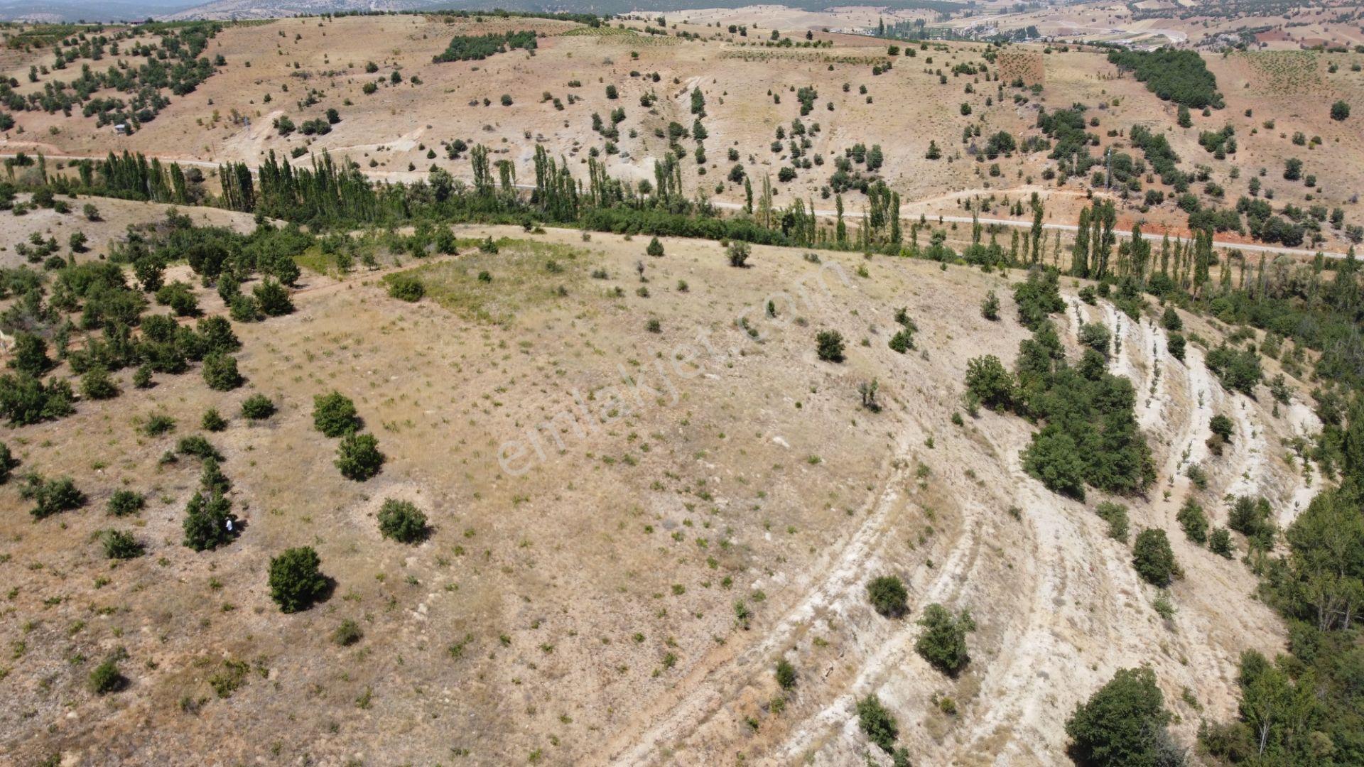 Güneysınır Ömeroğlunda 2.090 M2 Müstakil Tapulu Arazi - Görsel 6