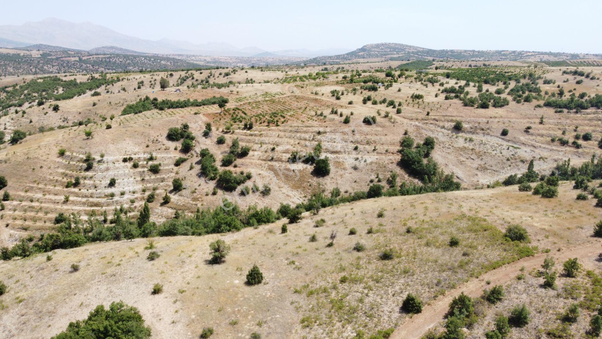 Güneysınır Ömeroğlunda 2.090 M2 Müstakil Tapulu Arazi - Görsel 10