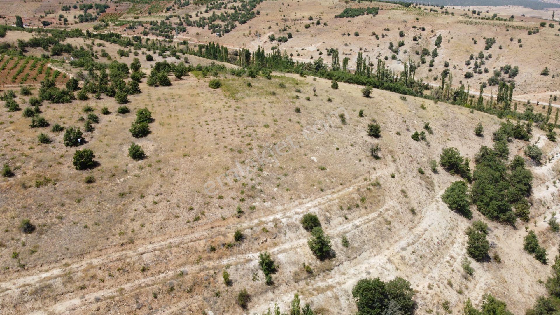 Güneysınır Ömeroğlunda 2.090 M2 Müstakil Tapulu Arazi - Görsel 7