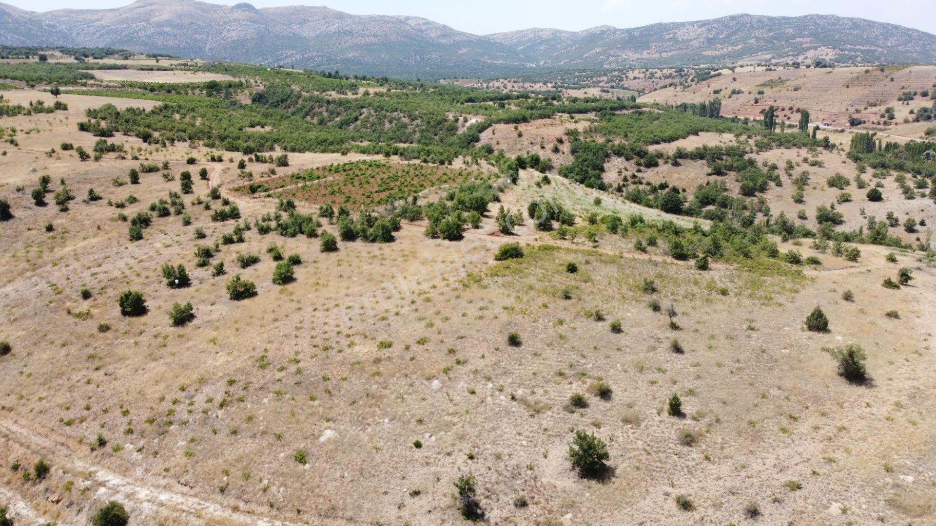 Güneysınır Ömeroğlunda 2.090 M2 Müstakil Tapulu Arazi - Görsel 8