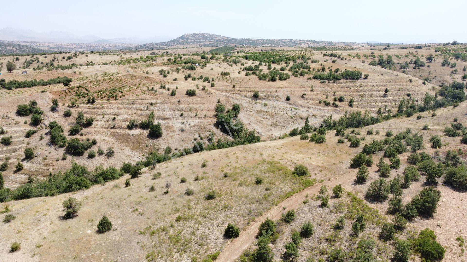 Güneysınır Ömeroğlunda 2.090 M2 Müstakil Tapulu Arazi - Görsel 9