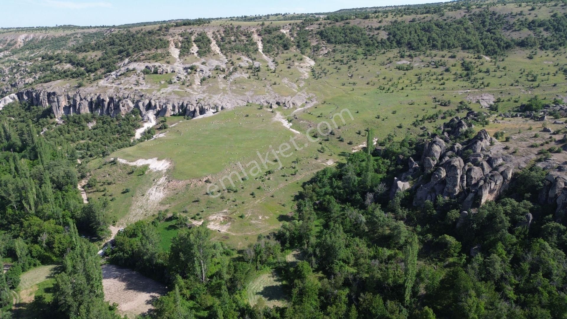 Meram Kilistra Da 207 M2 Müstakil Tapulu Bahçe - Görsel 10