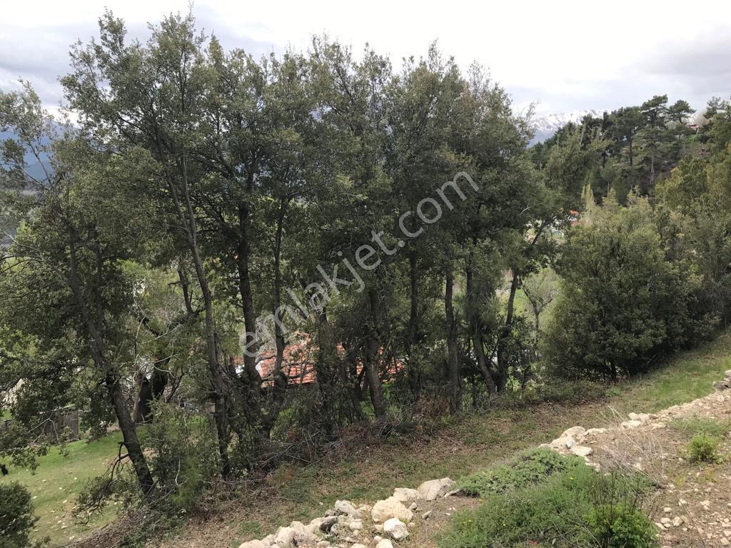 Denizli Çameli Arikaya Satılık Arsa - Görsel 4