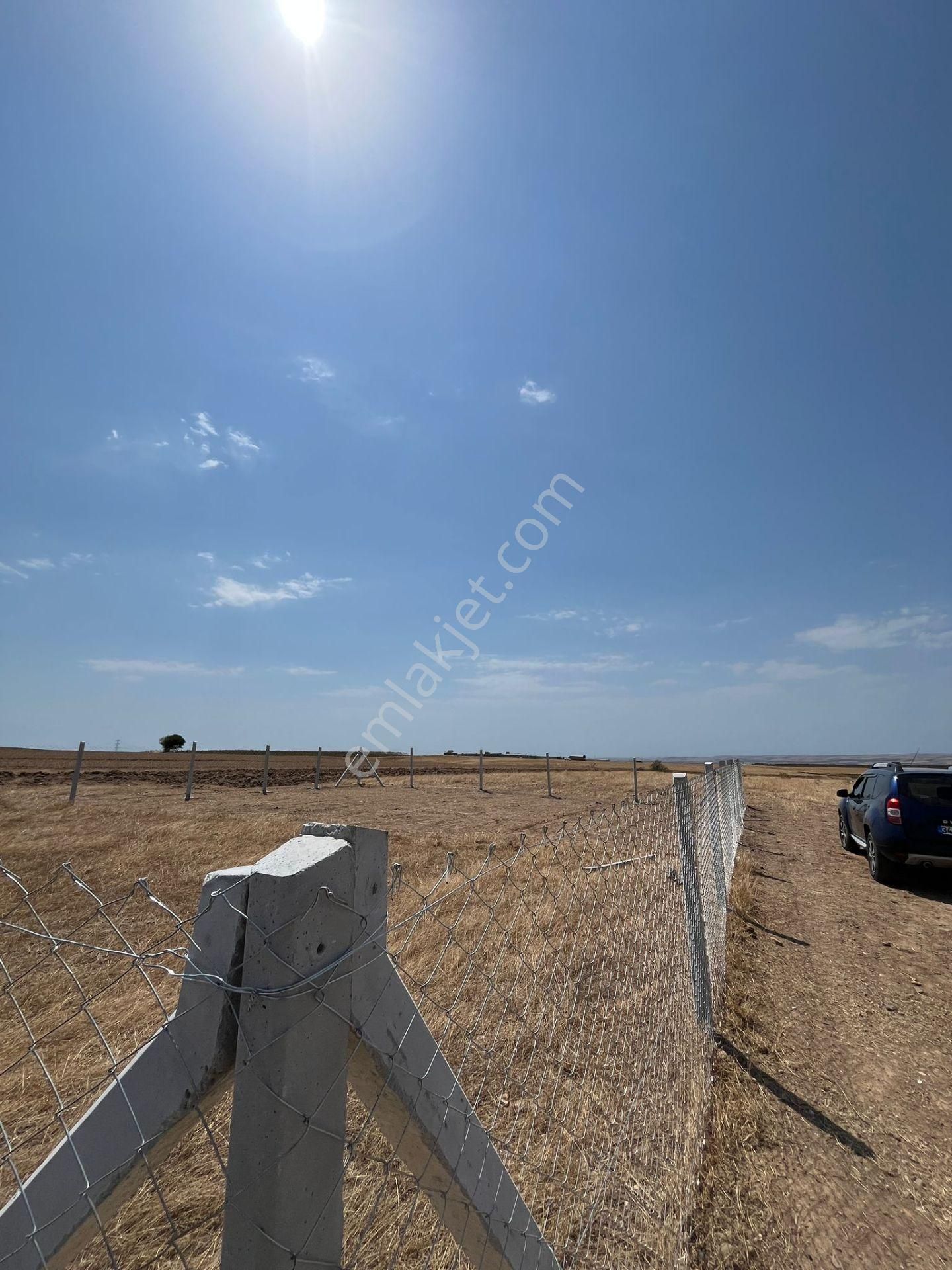 Değirmenköyde Hobi Bahçesi Yapımına Uygun. - Görsel 8