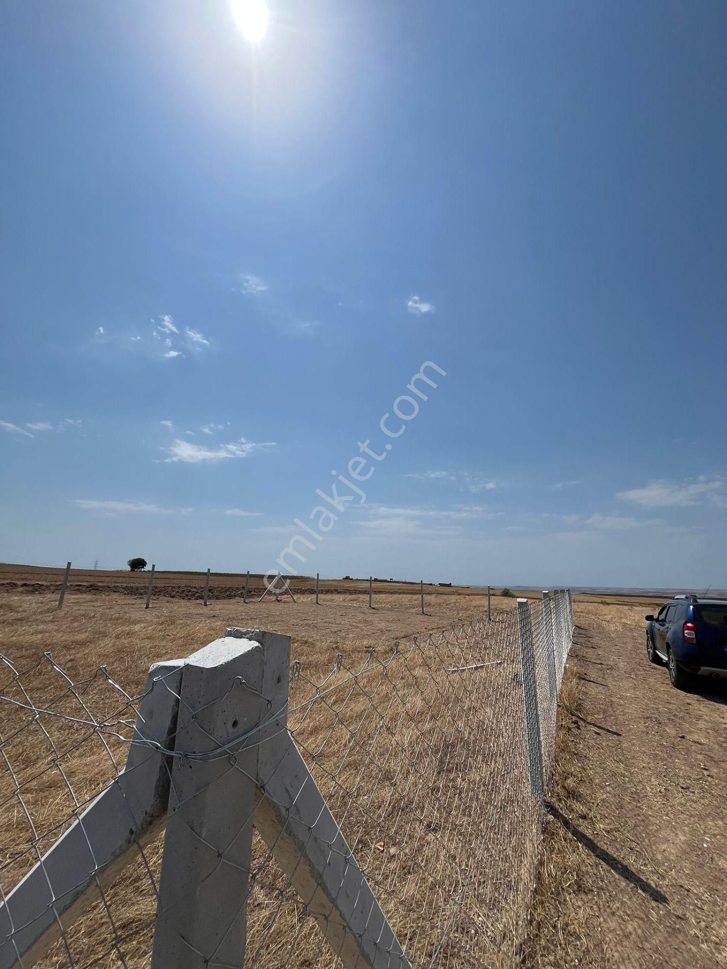 Değirmenköyde Hobi Bahçesi Yapımına Uygun. - Görsel 9