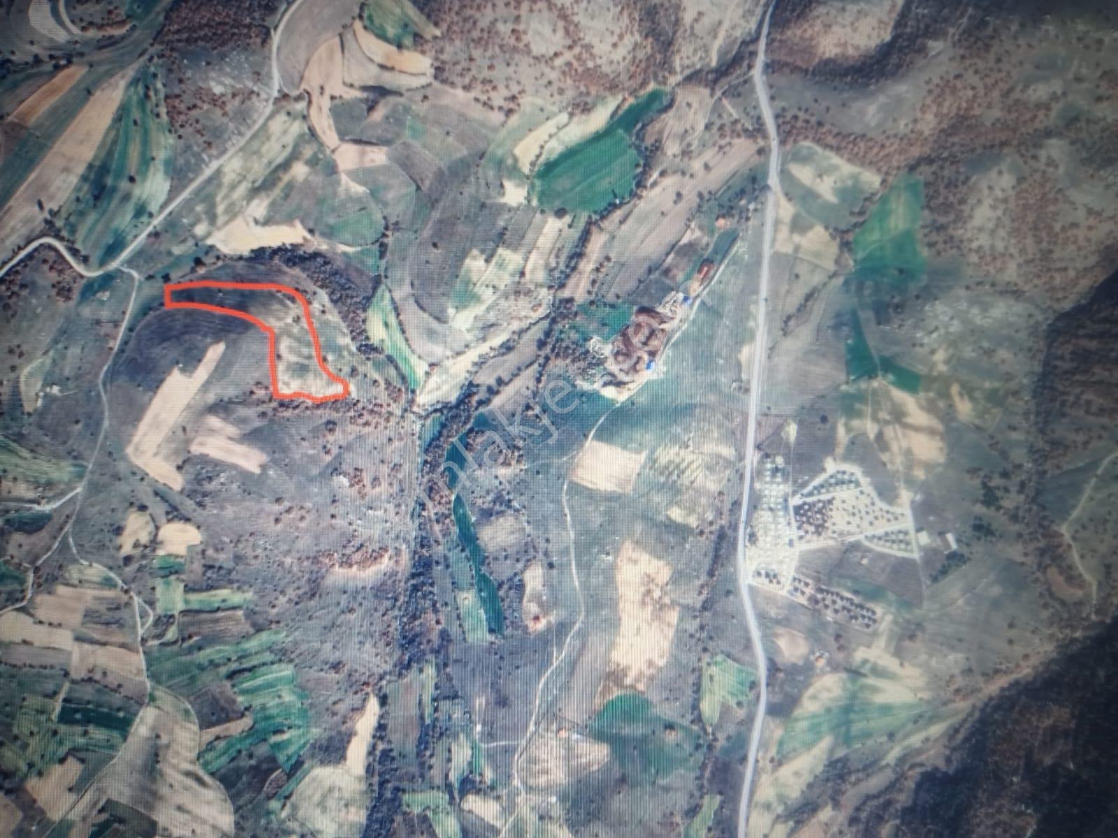 Savaş Gayrimenkul, Yatırıma Uygun 26 Dönüm Arazi - Görsel 6