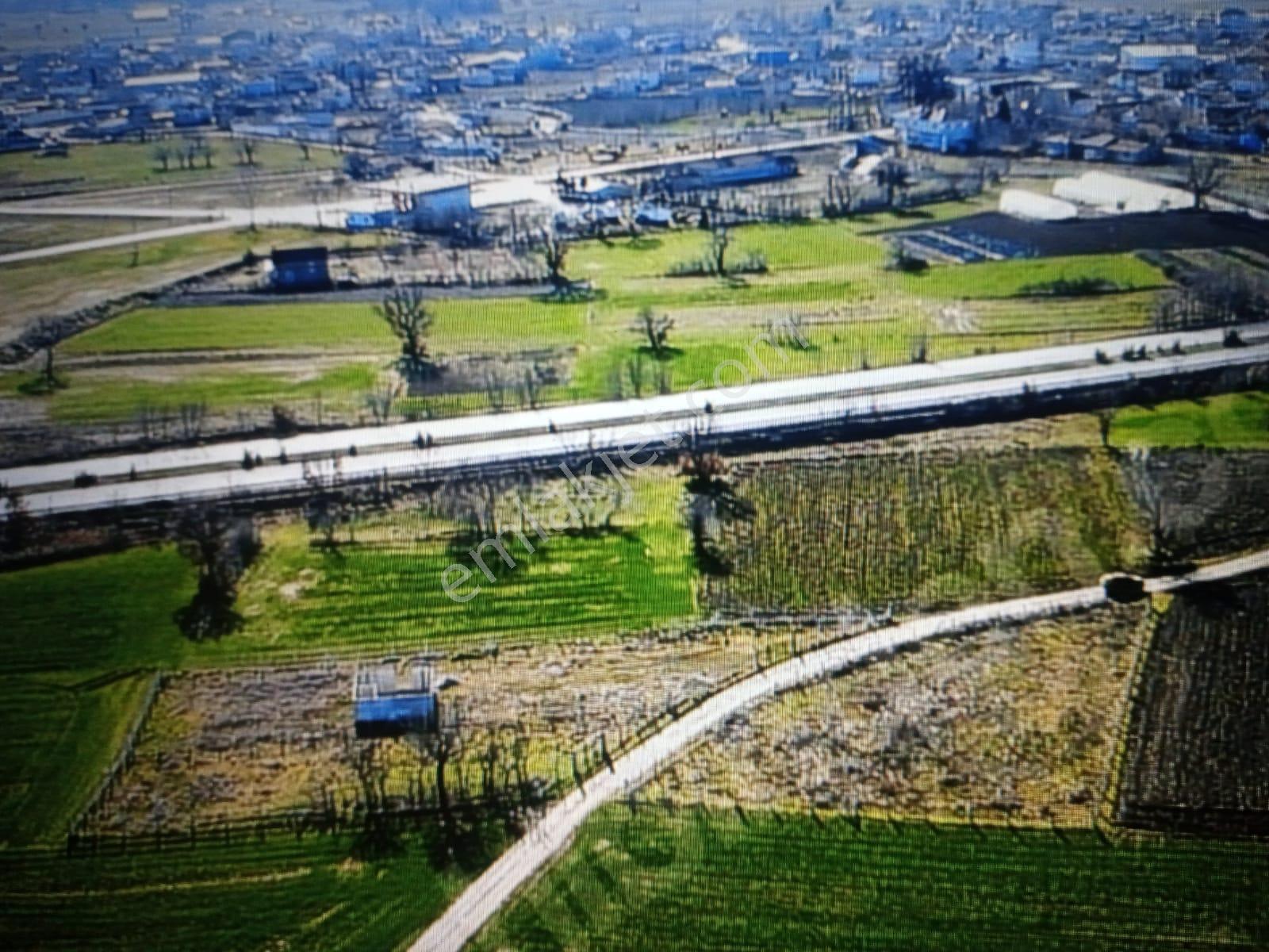 Savaş Gayrimenkul, Organize Karşısı, Yatırımlık Arazi - Görsel 8