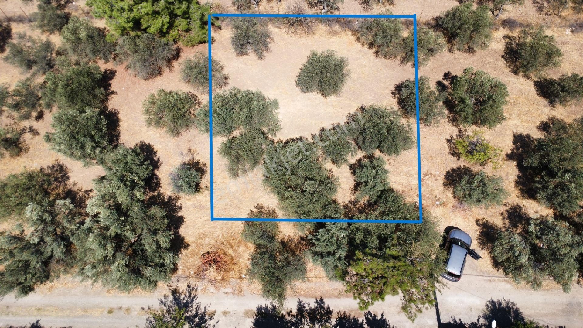 Egenin İncisi Geyikli'de 490 M2 Satılık İmarlı Arsa Han Emlaktan - Görsel 5