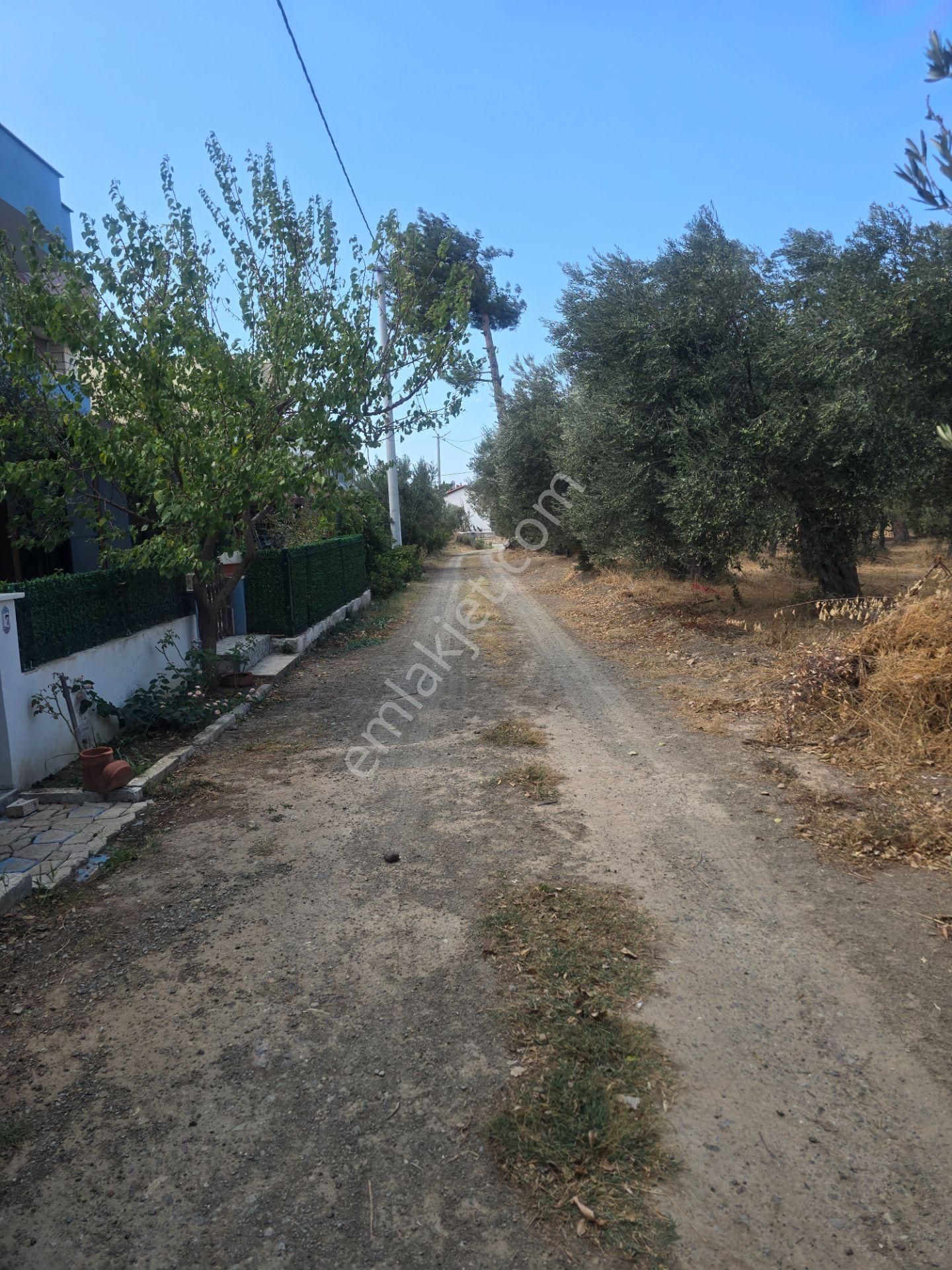 Egenin İncisi Geyikli'de 490 M2 Satılık İmarlı Arsa Han Emlaktan - Görsel 14