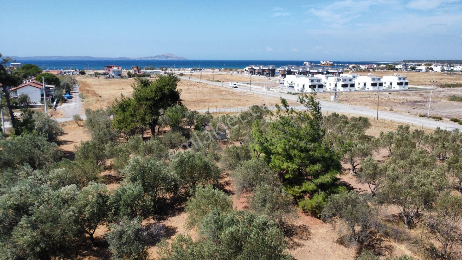 Egenin İncisi Geyikli'de 490 M2 Satılık İmarlı Arsa Han Emlaktan - Görsel 8