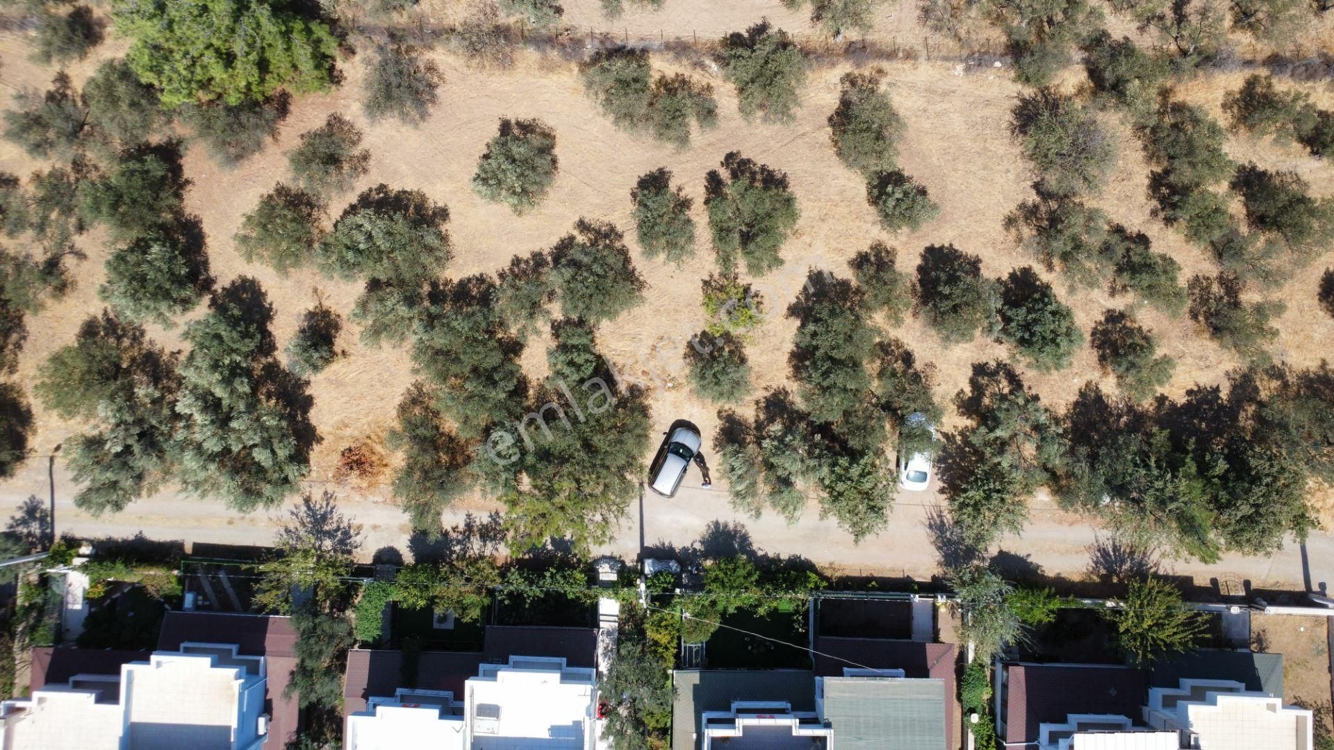 Egenin İncisi Geyikli'de 490 M2 Satılık İmarlı Arsa Han Emlaktan - Görsel 6