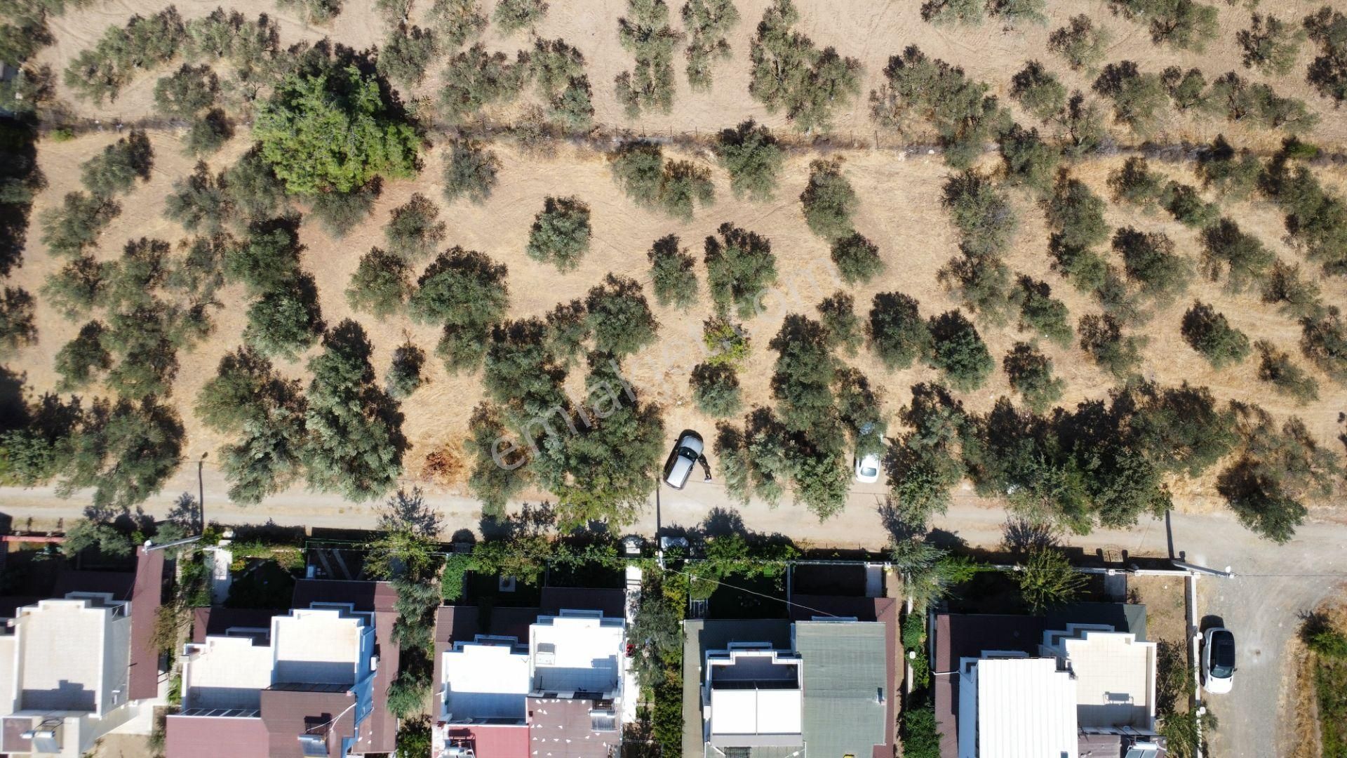 Egenin İncisi Geyikli'de 490 M2 Satılık İmarlı Arsa Han Emlaktan - Görsel 7