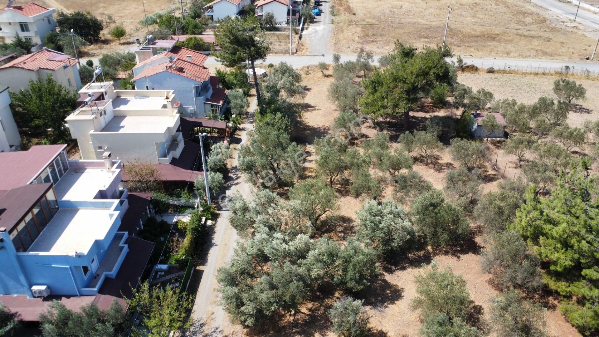 Egenin İncisi Geyikli'de 490 M2 Satılık İmarlı Arsa Han Emlaktan - Görsel 10