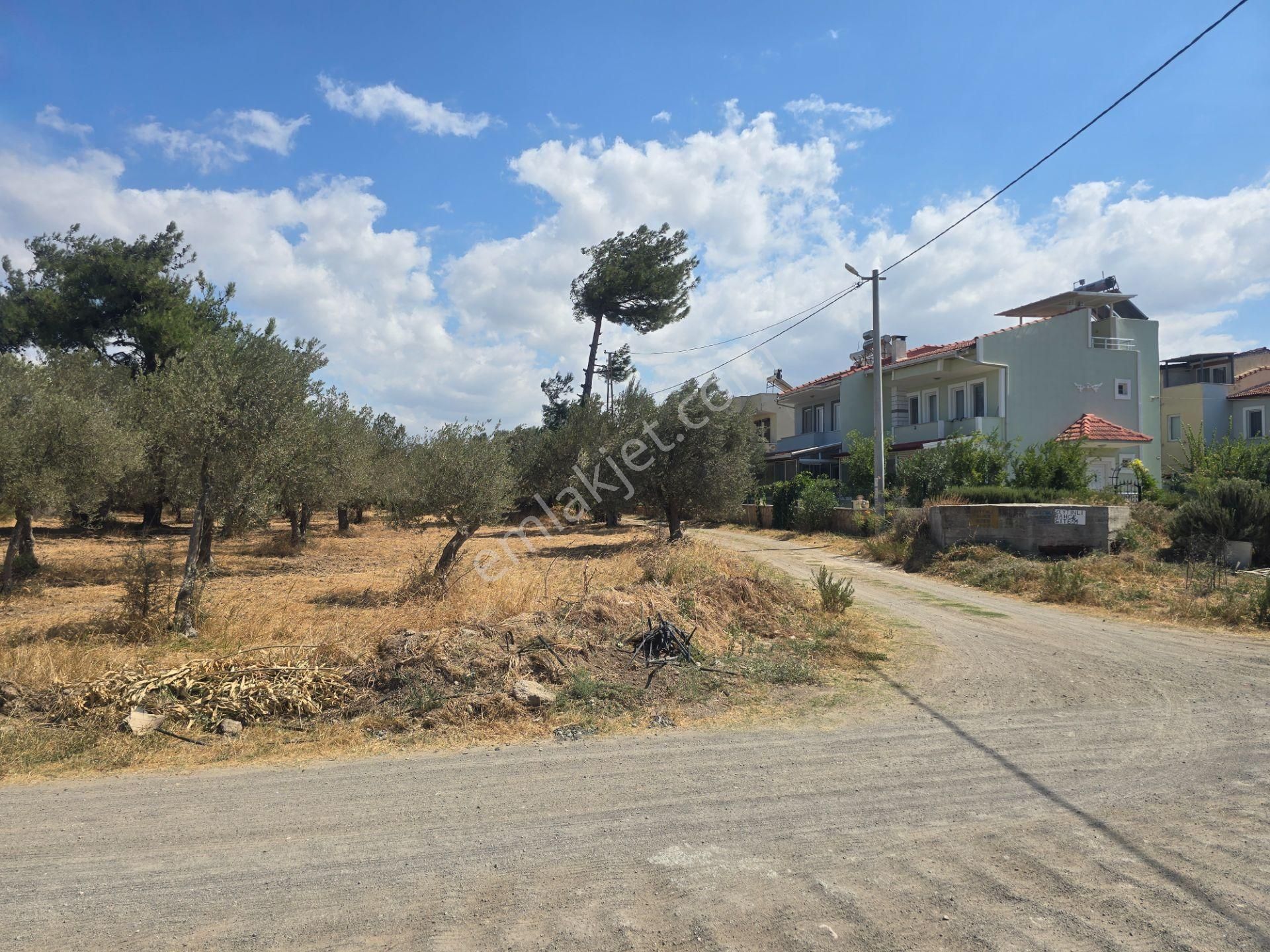 Egenin İncisi Geyikli'de 490 M2 Satılık İmarlı Arsa Han Emlaktan - Görsel 24