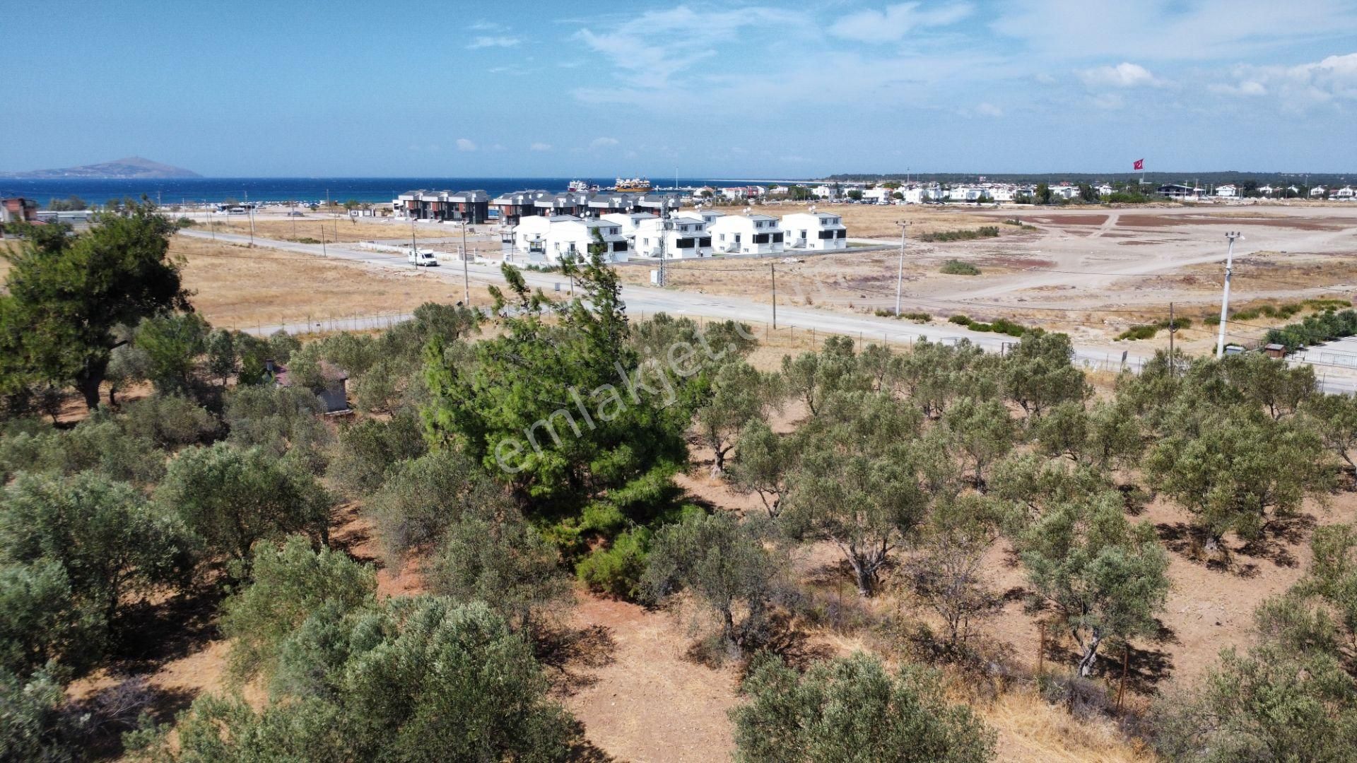 Egenin İncisi Geyikli'de 490 M2 Satılık İmarlı Arsa Han Emlaktan - Görsel 33