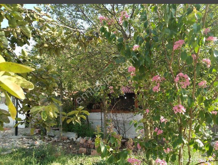 Sahibinden Satılık Bahçeli Köy Evi & - Görsel 5