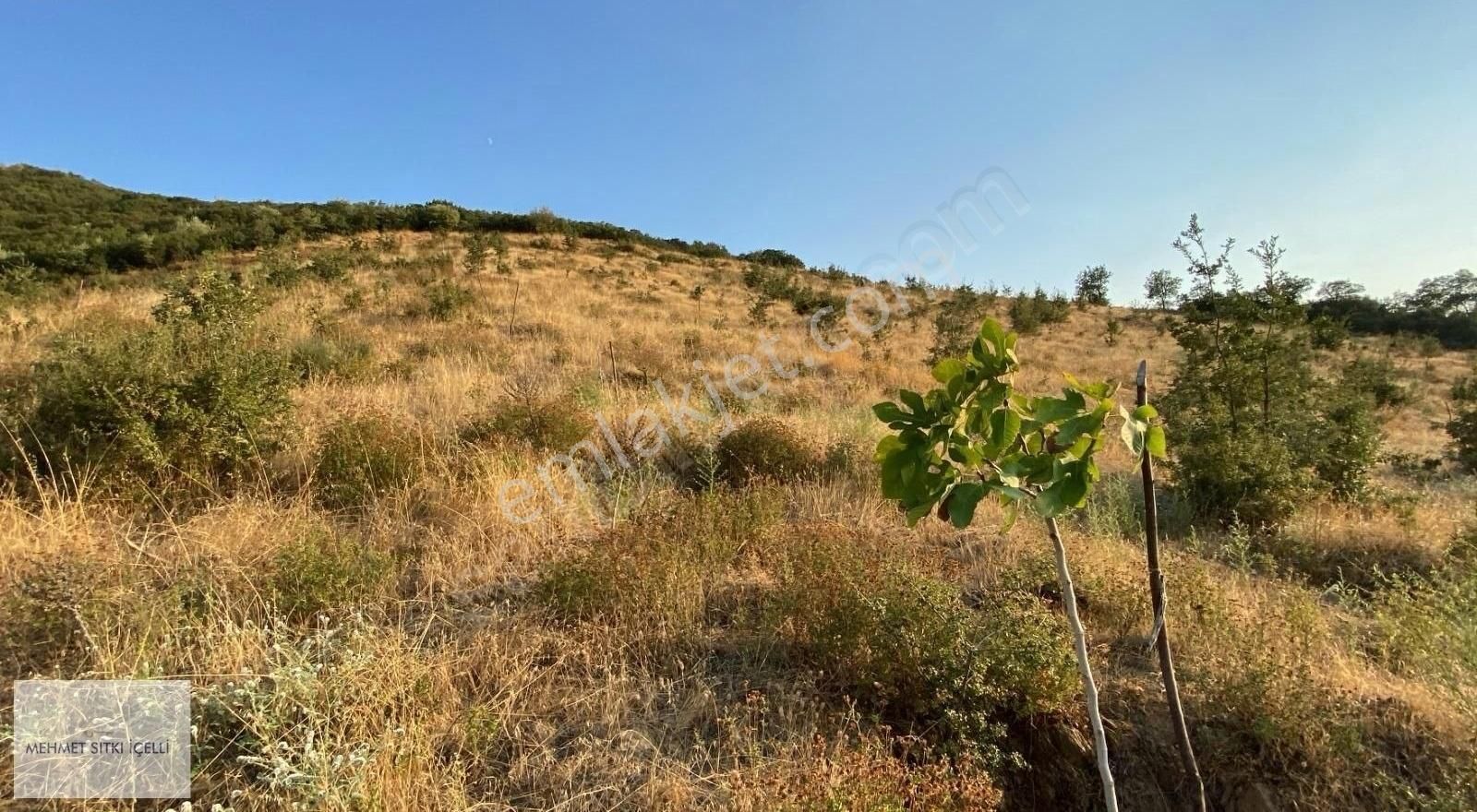 Kaçırılmayacak Köy Civarı Tarla Fırsatı!!! - Görsel 9