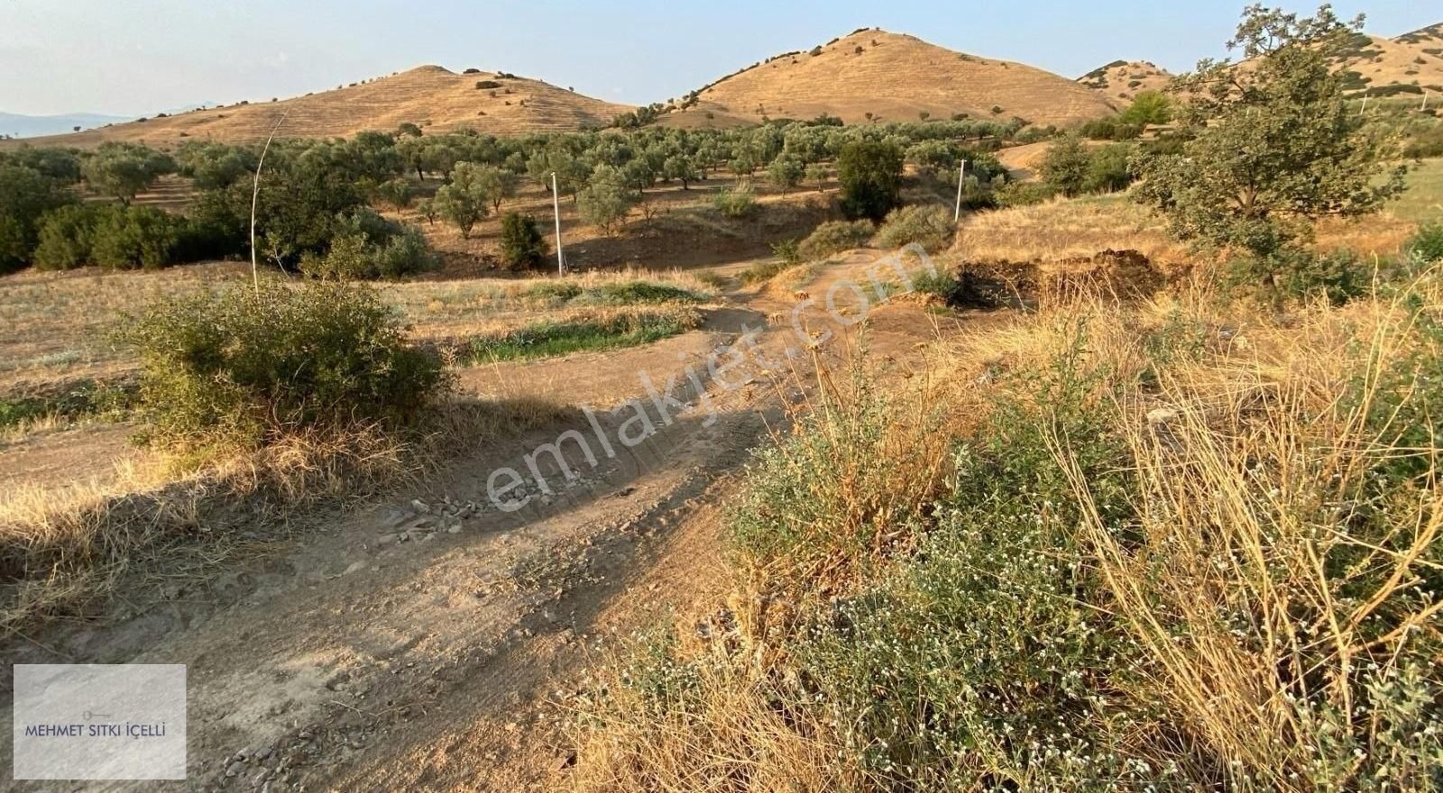 Kaçırılmayacak Köy Civarı Tarla Fırsatı!!! - Görsel 13