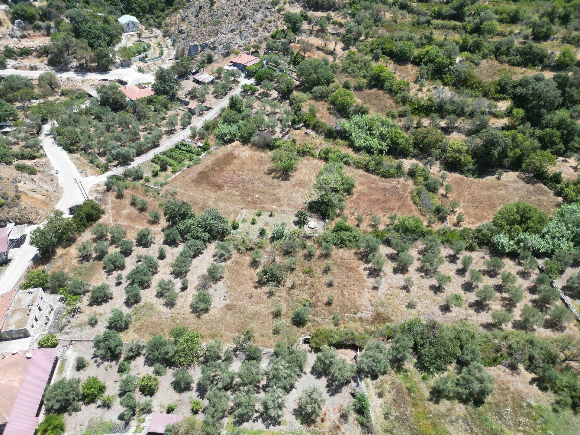 Joker: Marmaris Söğüt Resmi Yol Cepheli Yerleşim Alanında Satılık Tarla