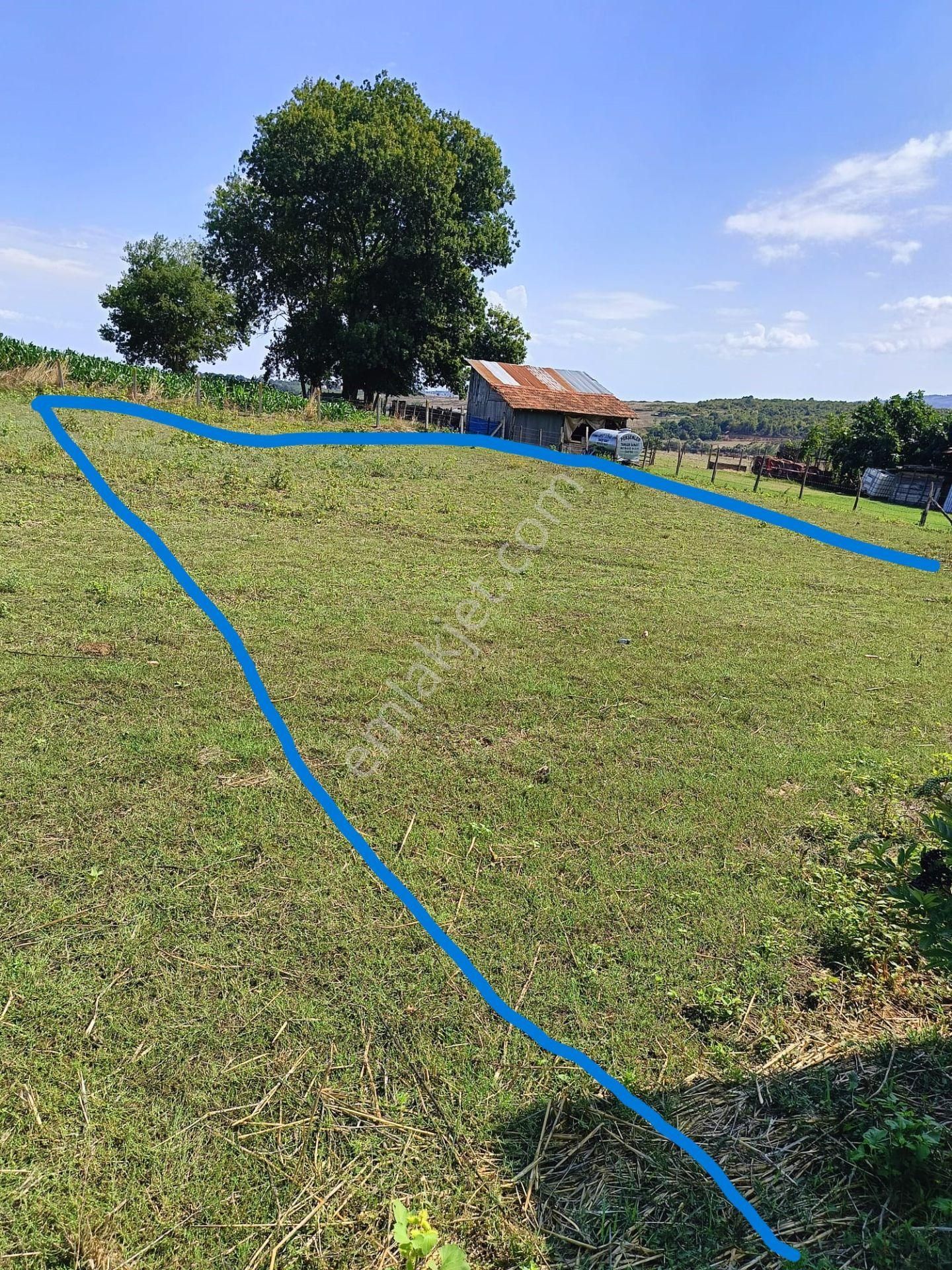 A.y.s. Gayrimenkul Den Satılık Tarla - Görsel 18