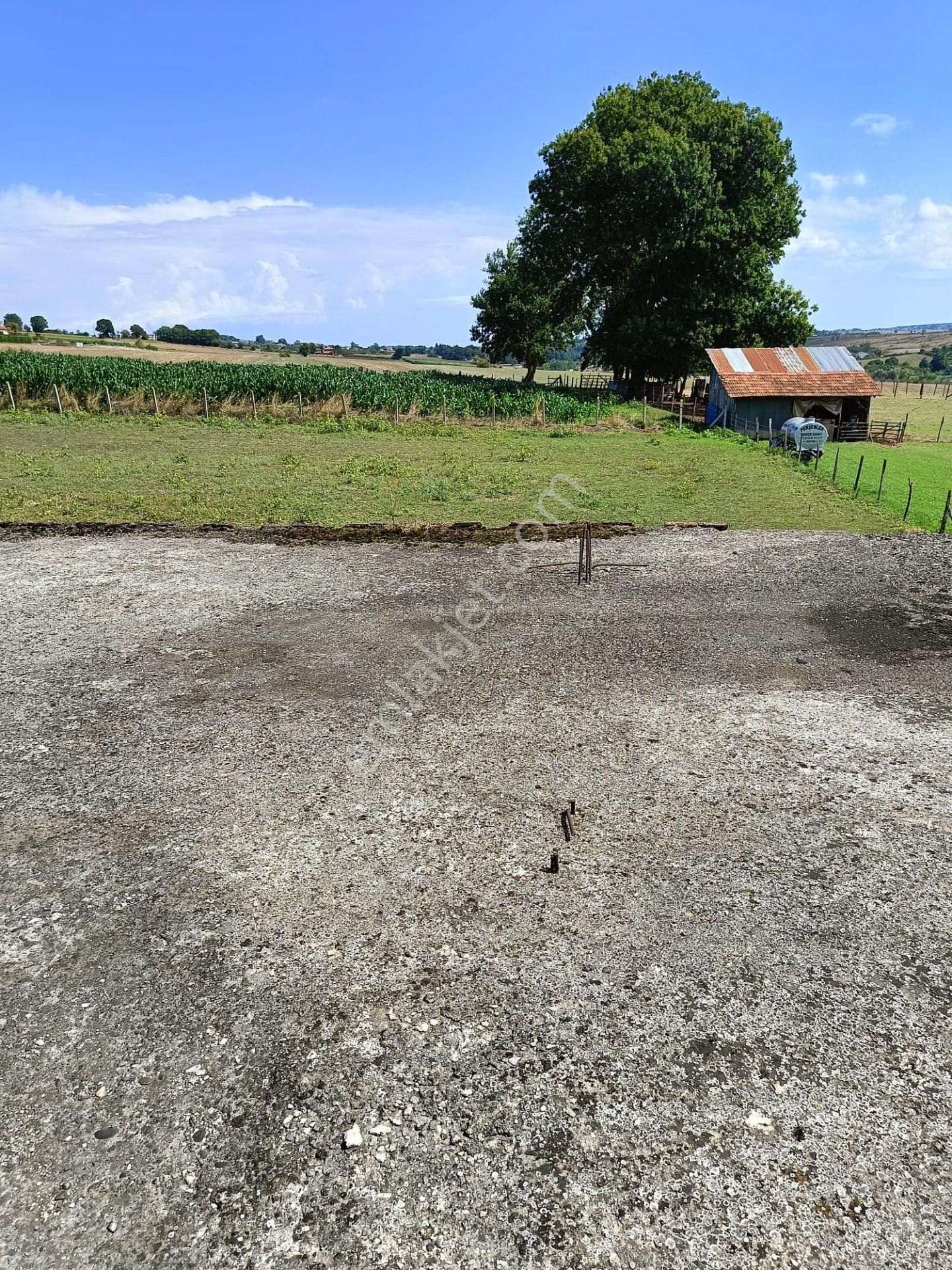 A.y.s. Gayrimenkul Den Satılık Tarla - Görsel 12