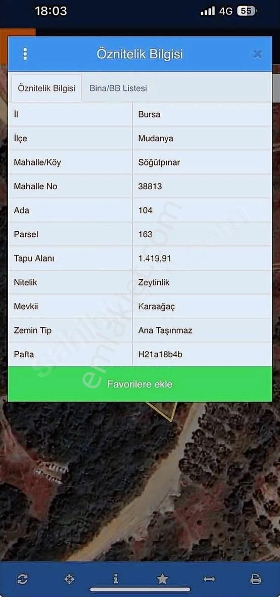 Mudanya / Söğütpınar Satılık Yola Cephe Tekntapu Tarla - Görsel 2