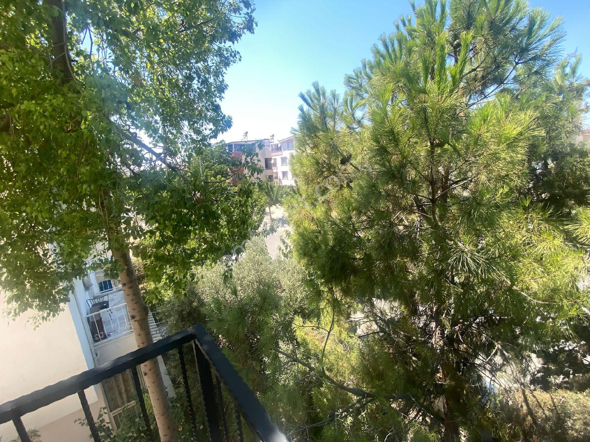 ,🏡🔥didim Efeler De Satılık 2+1daire - Görsel 5