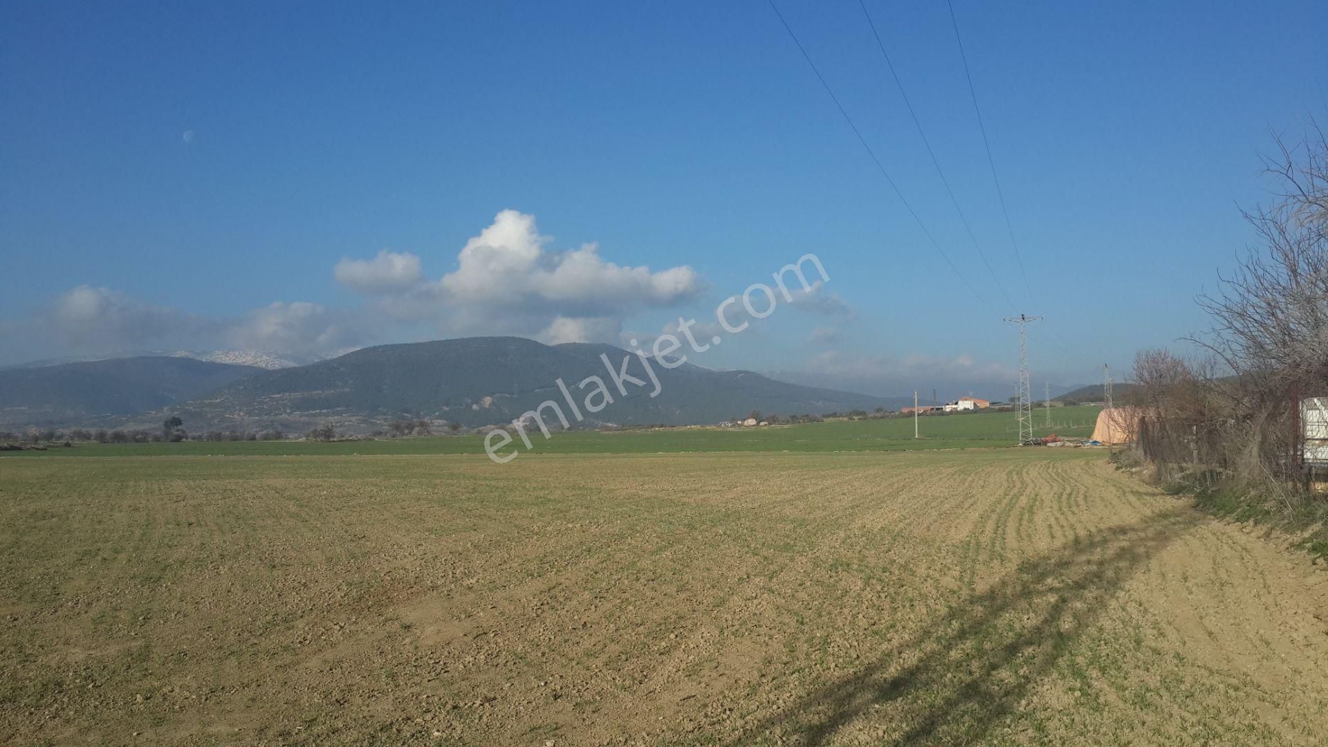 Burdur Bucak Ürkütlü De Satılık 1500 M2 Tarla