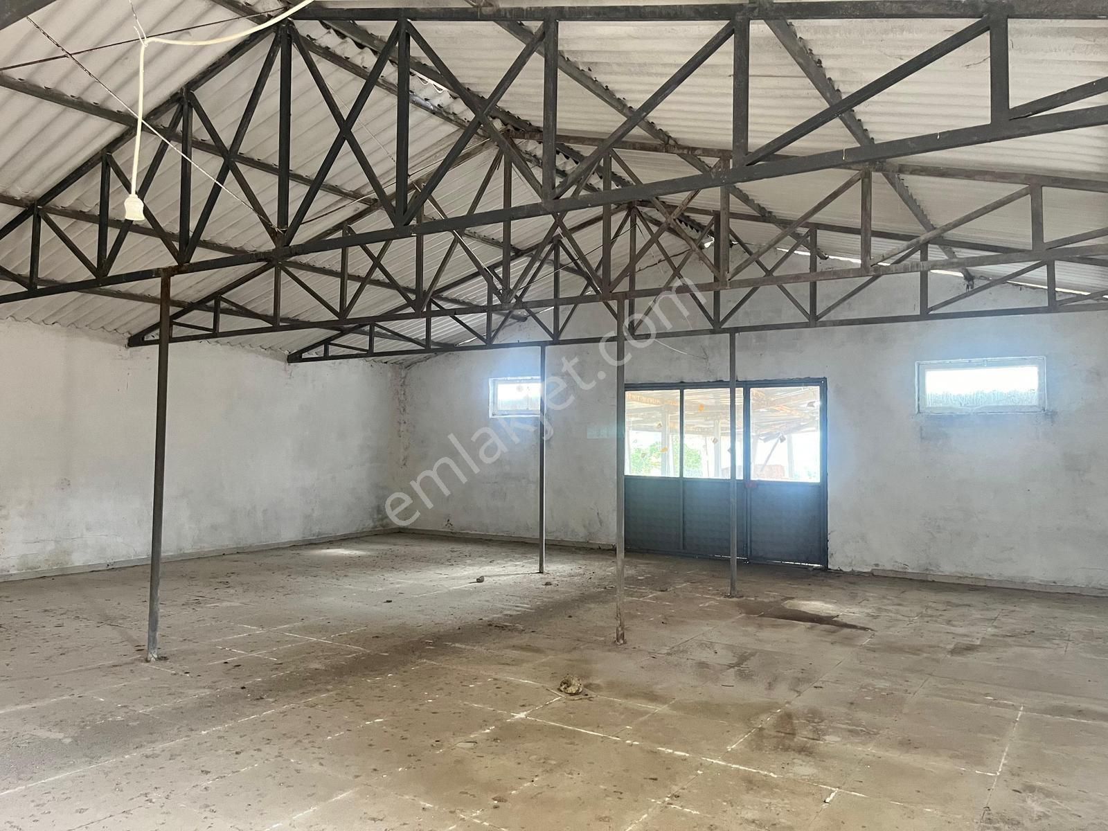 Kazdağı Uzantılarında Çiftlik, Yapı Kayıt Belgeli Ev, İşyeri, Elektrik Su Terzialan Çan Çanakkale - Görsel 7