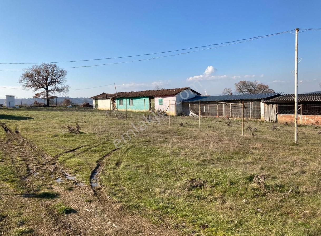 Kazdağı Uzantılarında Çiftlik, Yapı Kayıt Belgeli Ev, İşyeri, Elektrik Su Terzialan Çan Çanakkale - Görsel 12