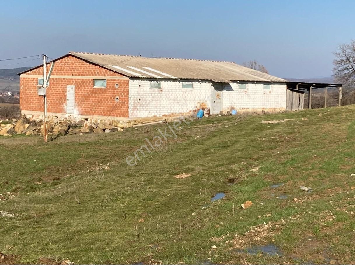 Kazdağı Uzantılarında Çiftlik, Yapı Kayıt Belgeli Ev, İşyeri, Elektrik Su Terzialan Çan Çanakkale - Görsel 10